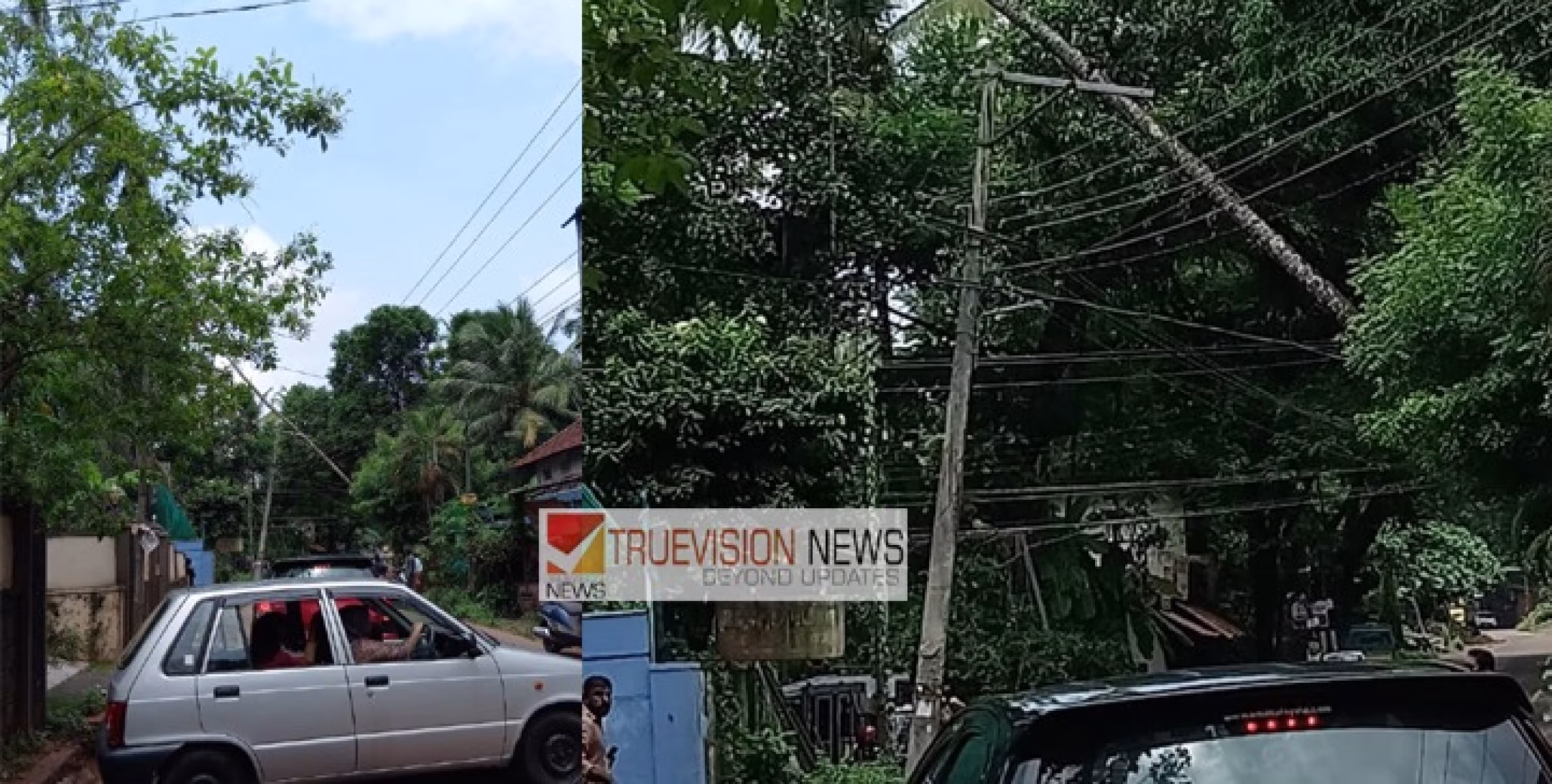 പാനൂരിനടുത്ത് പാറാട് തെങ്ങ് പൊട്ടി വൈദ്യുതി ലൈനിനു മുകളിൽ വീണു ; വാഹന ഗതാഗതം നിലച്ചു