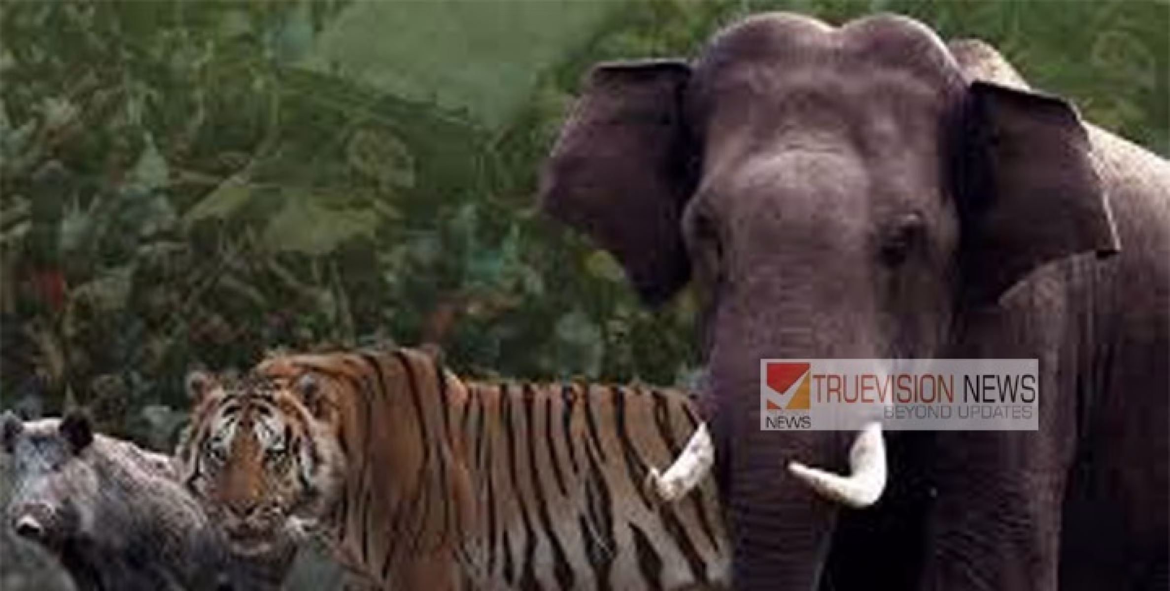 മനുഷ്യ ജീവനും സ്വത്തിനും ഭീഷണിയാകുന്ന വന്യജീവികളെ കൊല്ലാൻ കേന്ദ്രത്തോട് അനുമതി തേടാൻ സംസ്ഥാന സർക്കാർ 