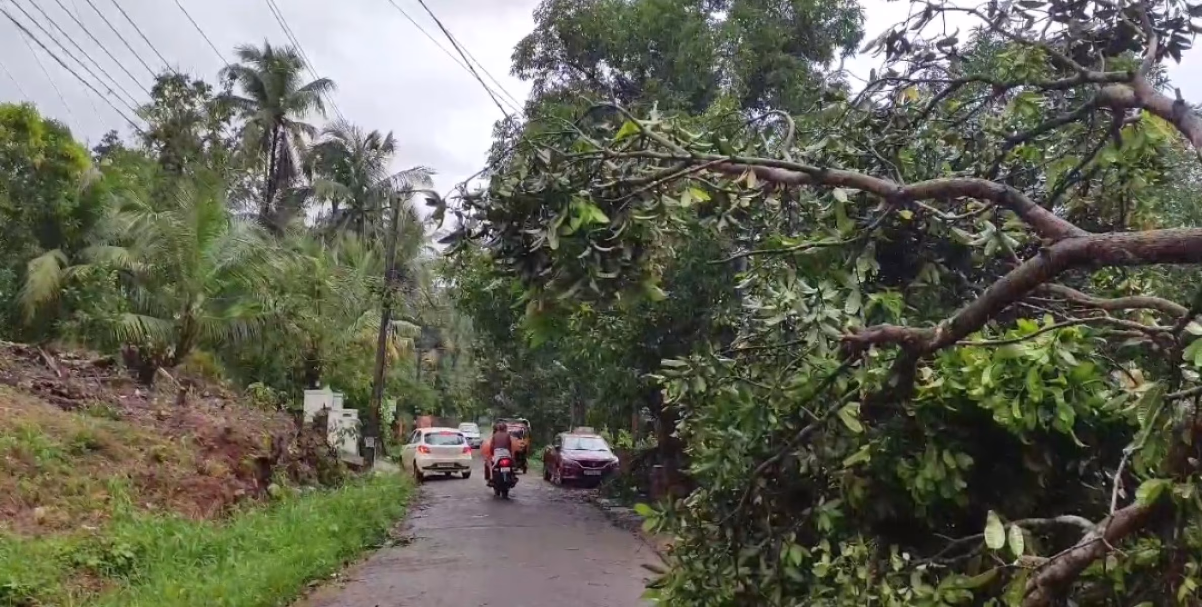 കണ്ണൂർ ജില്ലയില്‍ കാലവര്‍ഷം കനത്തതോടെ കെ എസ് ഇ ബി ക്ക് ഇതുവരെ 8.96 കോടി രൂപയുടെ നാശനഷ്ടം