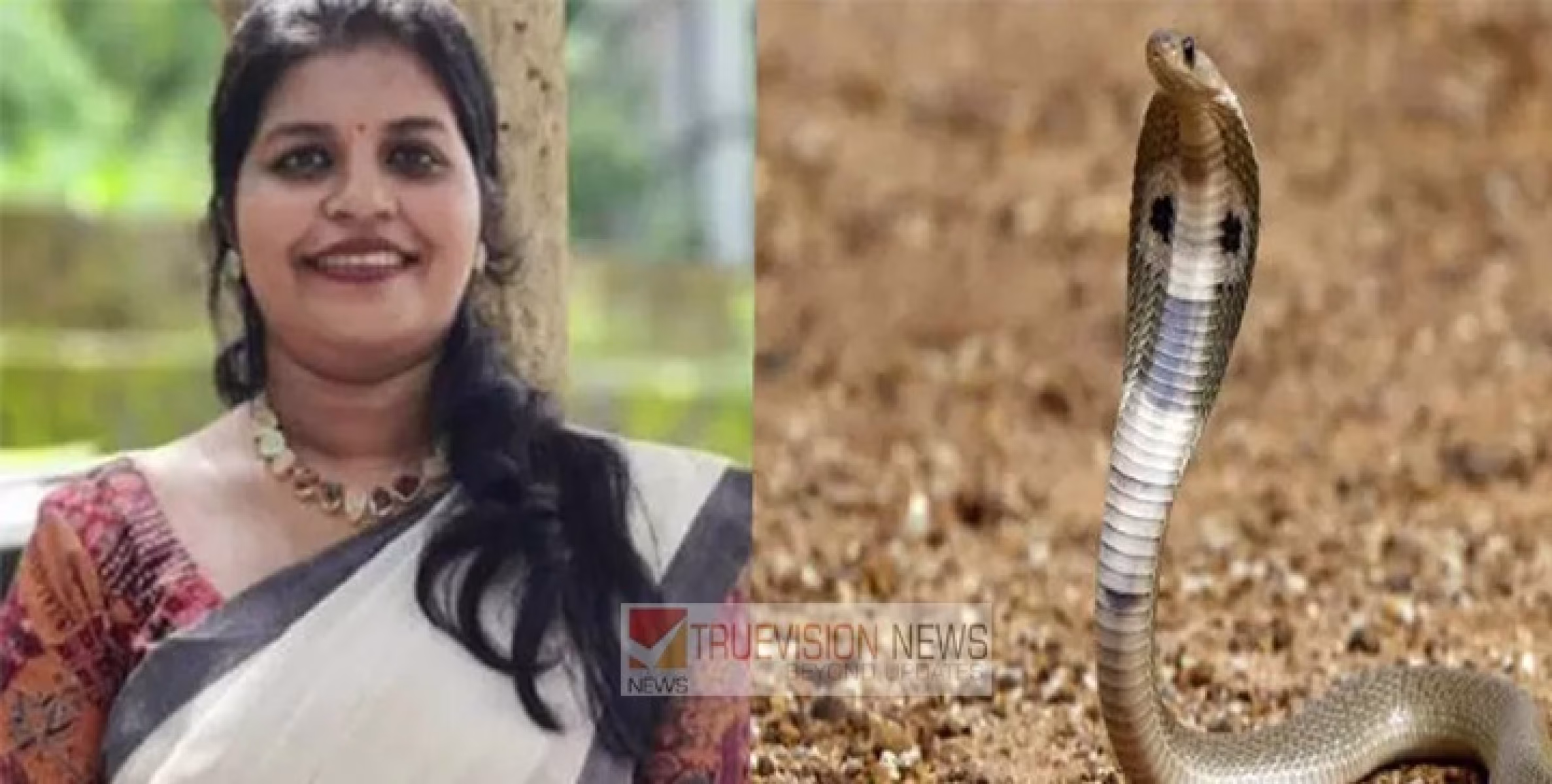 കുഞ്ഞിന് ചോറുകൊടു ക്കാൻ വീടിനു പുറത്തിറങ്ങിയ യുവതി ചവിട്ടുപടിയിൽ കിടന്നിരുന്ന പാമ്പിൻ്റെ കടിയേറ്റ് മരിച്ചു.