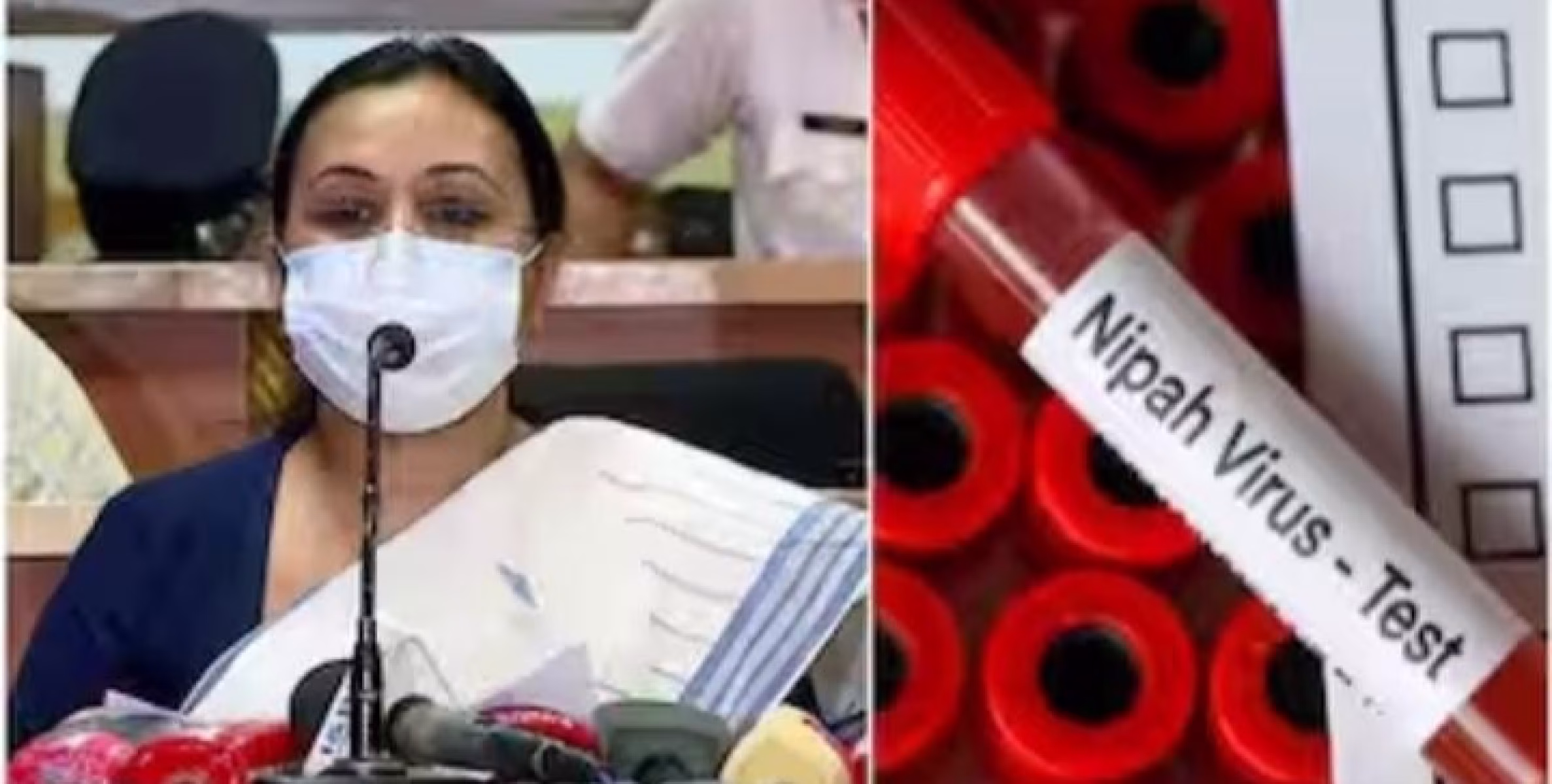 വീണ്ടും നിപയോട് പൊരുതി ജയിച്ചു; മലപ്പുറത്ത് ചികിത്സയിലിരുന്ന  42കാരിയുടെ രണ്ട് സാമ്പിളുകൾ നെഗറ്റീവായി