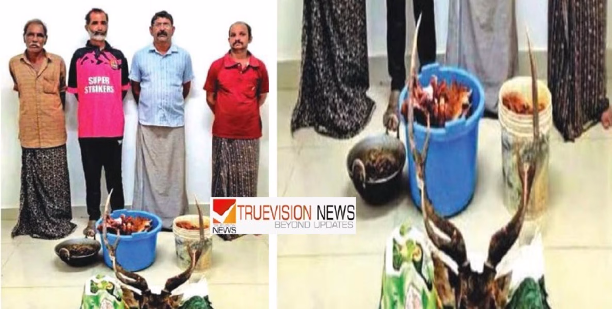 നായകളുടെ കടിയേറ്റ പുള്ളിമാനിനെ കൊന്ന് കറി വച്ചു ; 4 പേർ  പിടിയിൽ