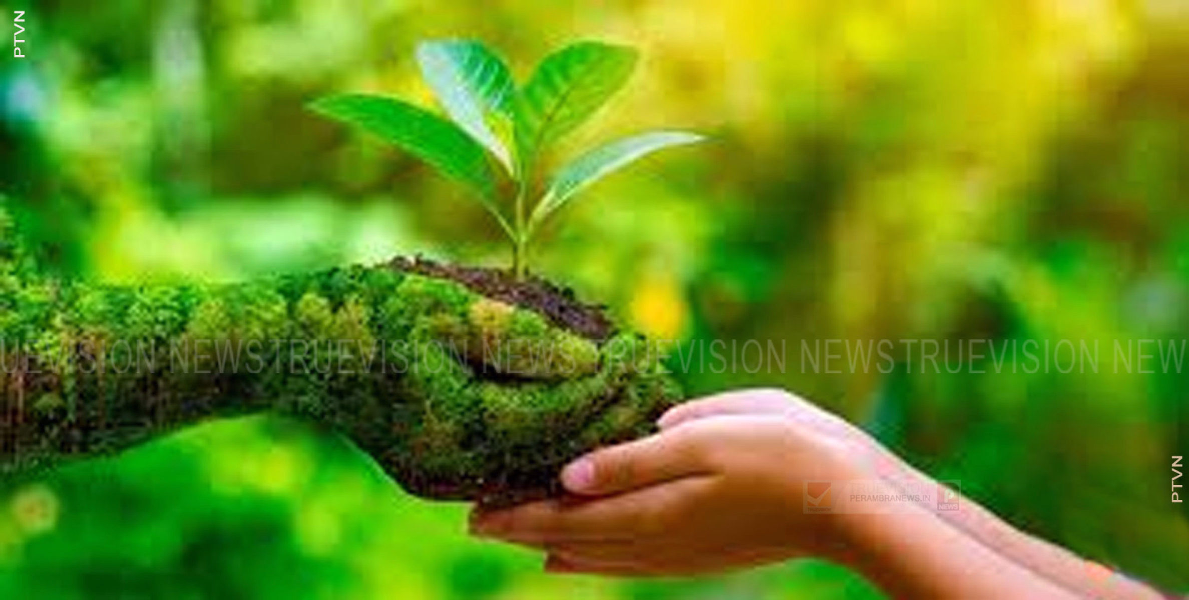 പരിസ്ഥിതി ദിനം; ബ്ലോക്ക് പഞ്ചായത്തിന്റെ നേതൃത്വത്തില്‍ റീല്‍സ് മത്സരം സംഘടിപ്പിക്കുന്നു