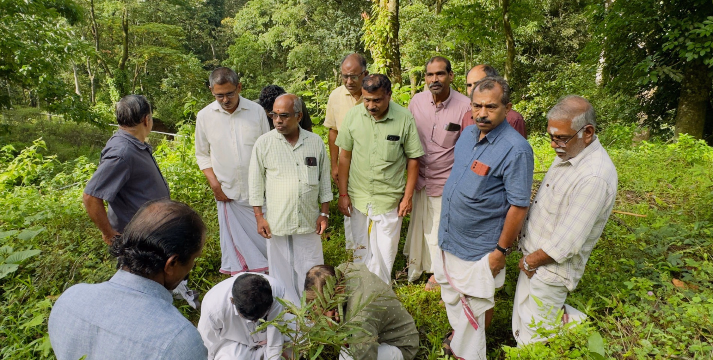 ലോക പരിസ്ഥിതി ദിനത്തോടനുബന്ധിച്ച് തിരുനെല്ലി ക്ഷേത്ര പരിസരത്ത് വൃക്ഷ തൈ നട്ടു