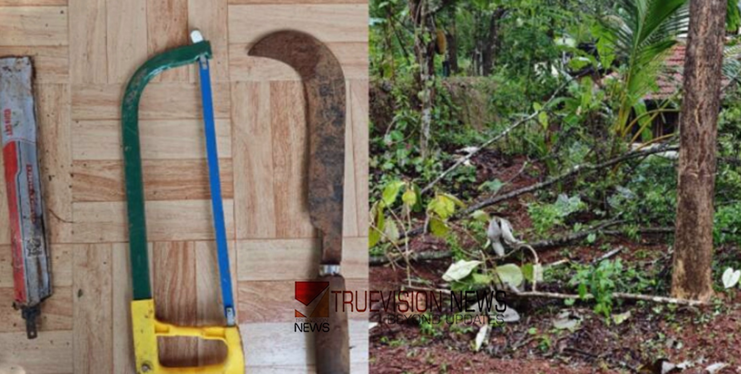 കോഴിക്കോട് വടകരയിൽ വീട്ടുവളപ്പിലെ 30 വര്‍ഷം പഴക്കമുള്ള ചന്ദനമരം ഉള്‍പ്പെടെ മുറിച്ചുകടത്തി