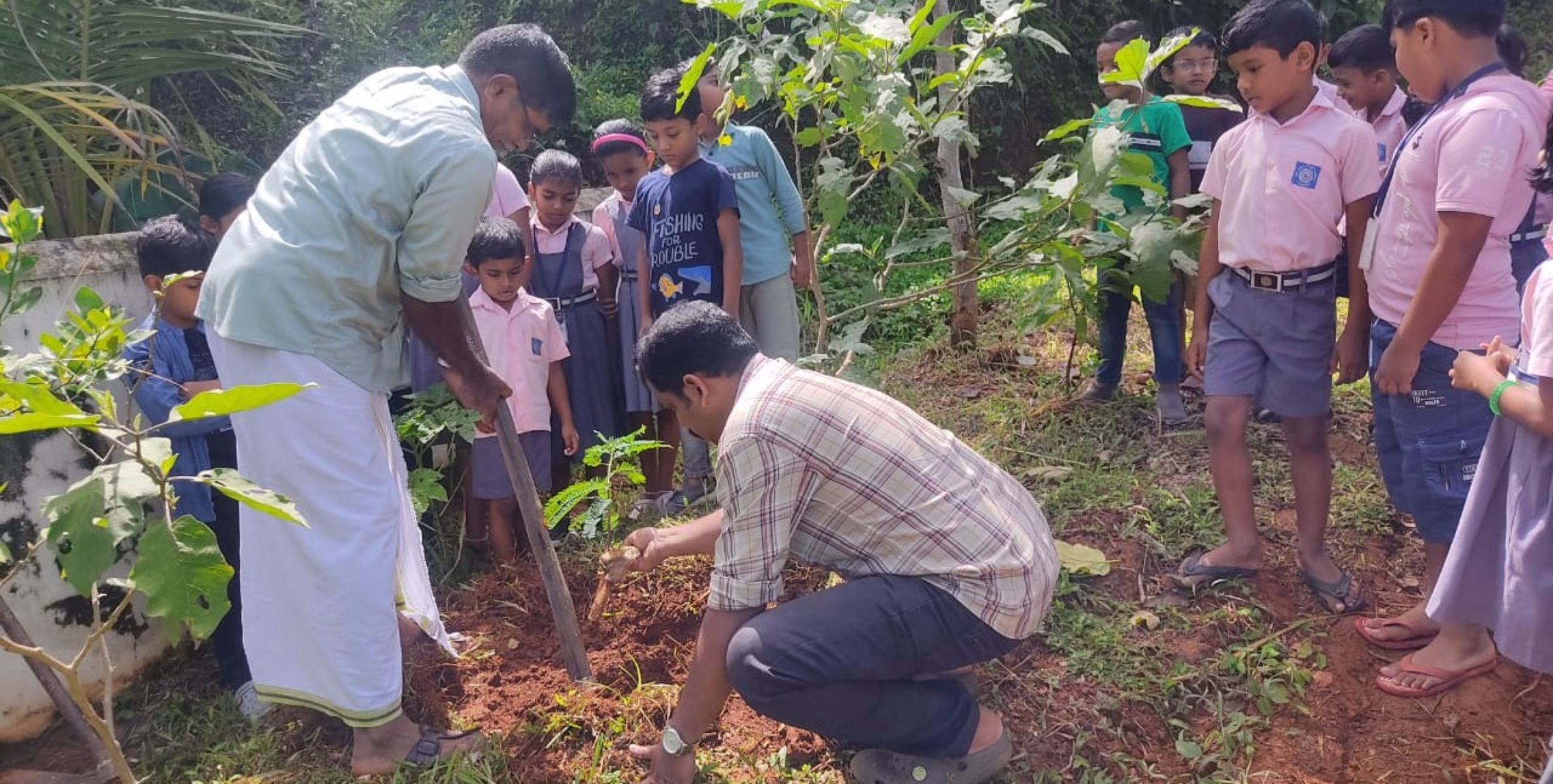   കോളിത്തട്ട് എൽ.പി. സ്കൂളിൽ പരിസ്ഥിതി ദിനം ആഘോഷിച്ചു