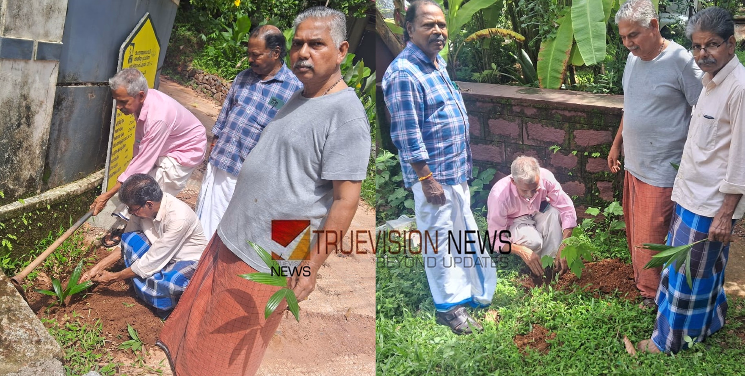 പെൻഷനേഴ്സ് യൂണിയൻ പരിസ്ഥിതി ദിനം ആചരിച്ചു 
