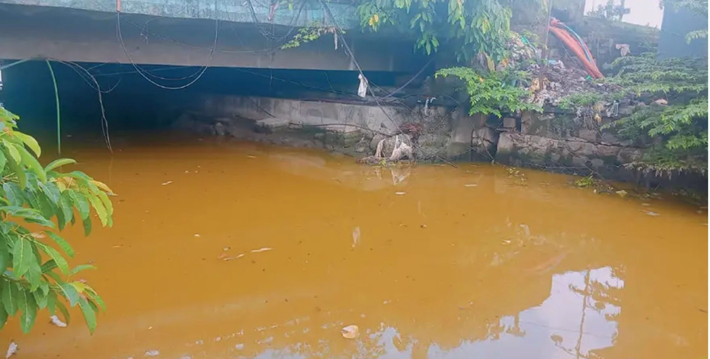  എറണാകുളം മാർക്കറ്റിലെ ചന്തക്കുളത്തിൽ ശുചിമുറിമാലിന്യം ഒഴുകിയെത്തി