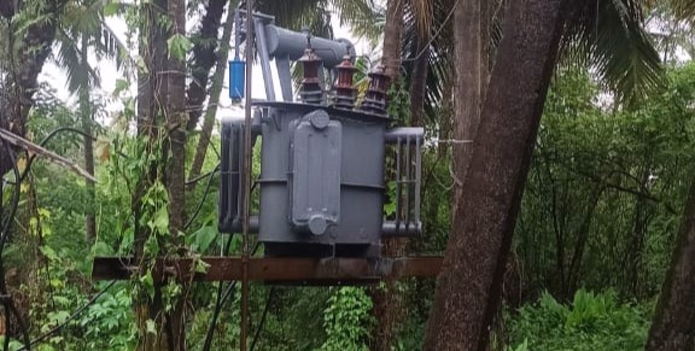 കെ എസ് ഇ ബി യെയും ഊറ്റിച്ച് കള്ളൻ വിരുത് 
