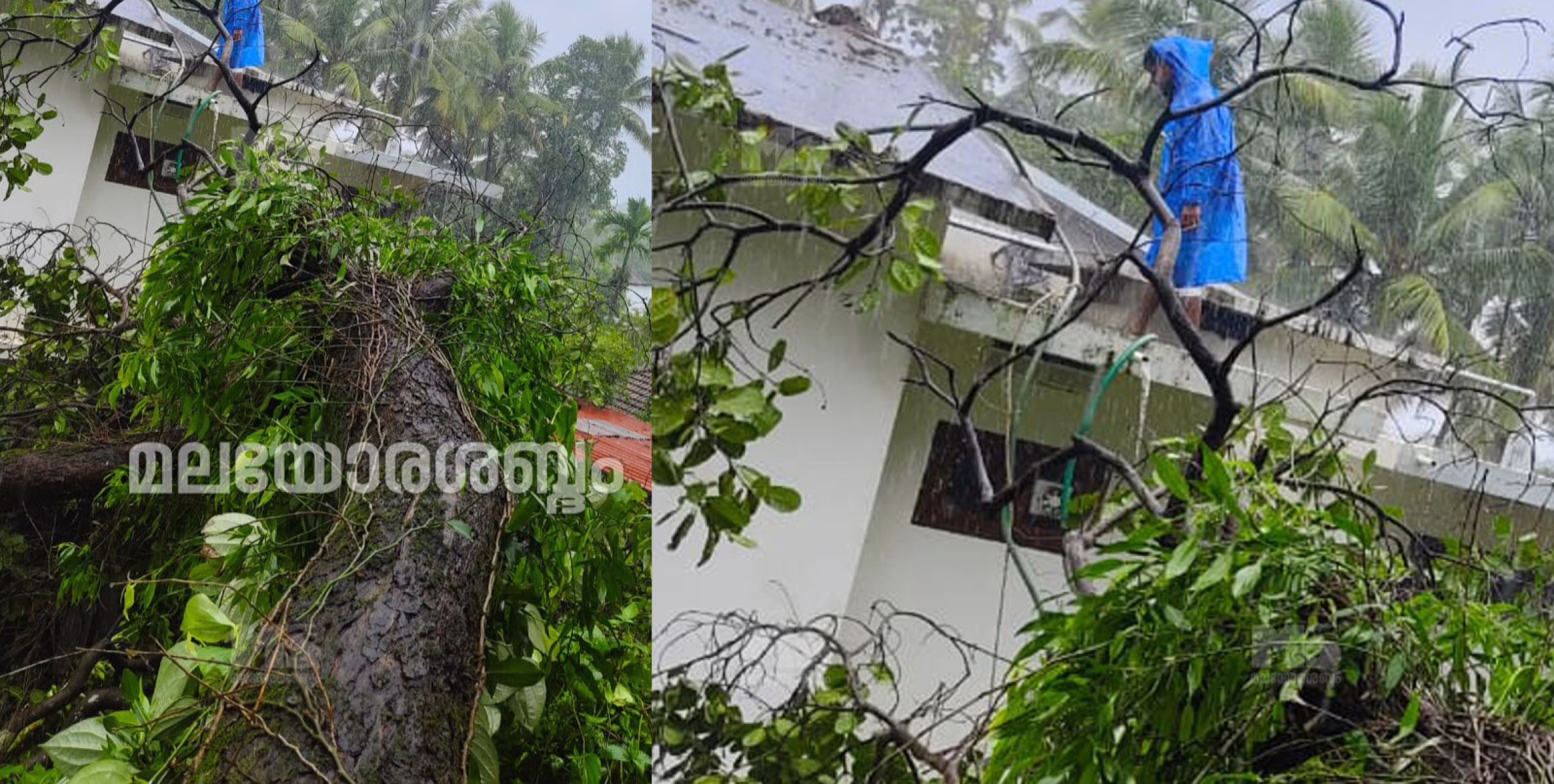 കണ്ണൂരിൽ വീടിന് മുകളില്‍ മരം  വീണ് നാലുപേര്‍ക്ക് പരിക്ക്