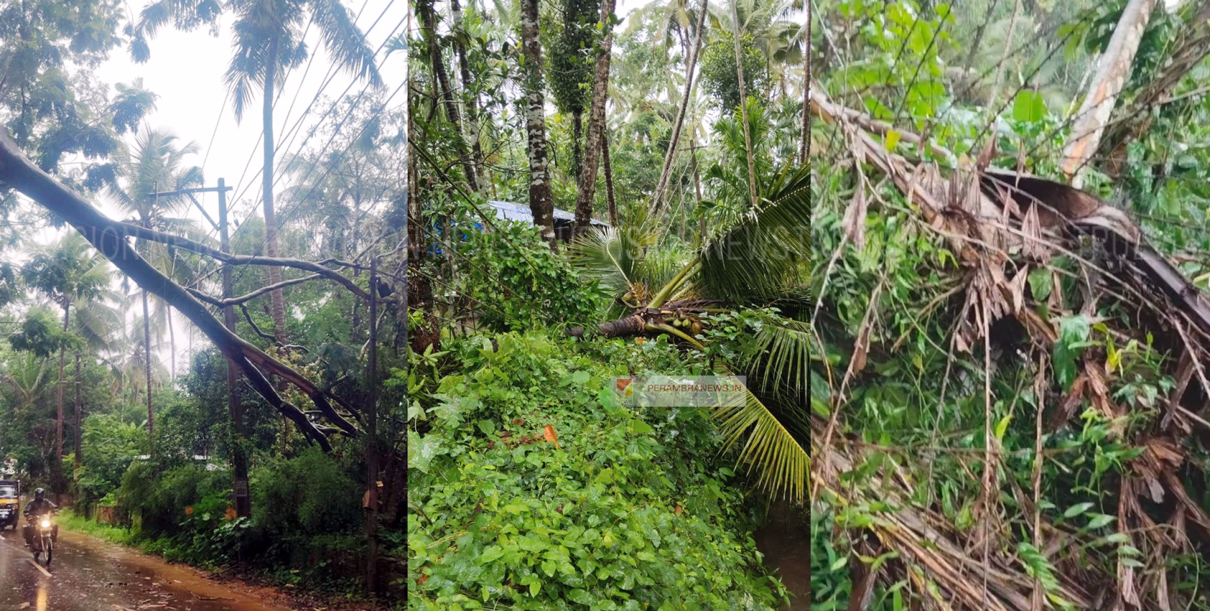കനത്ത മഴയില്‍ അരിക്കുളത്ത് വന്‍ നാശനഷ്ടം