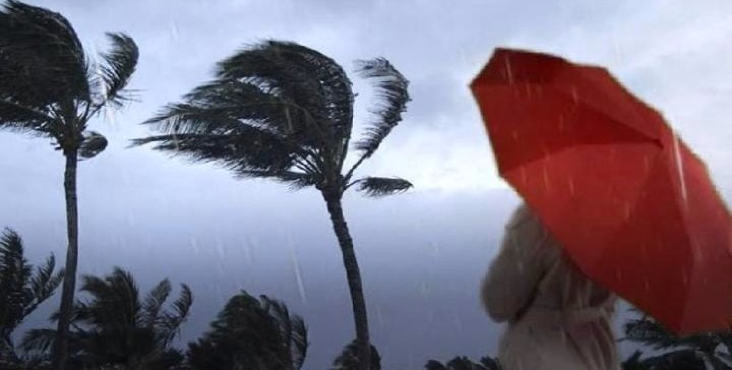 നാളെ മുതൽ മഴയുടെ തീവ്രത കുറയും! ഇന്ന് എല്ലാ ജില്ലകളിലും മഴ മുന്നറിയിപ്പ്, നാല് ജില്ലകളിൽ അതീവ ജാഗ്രത