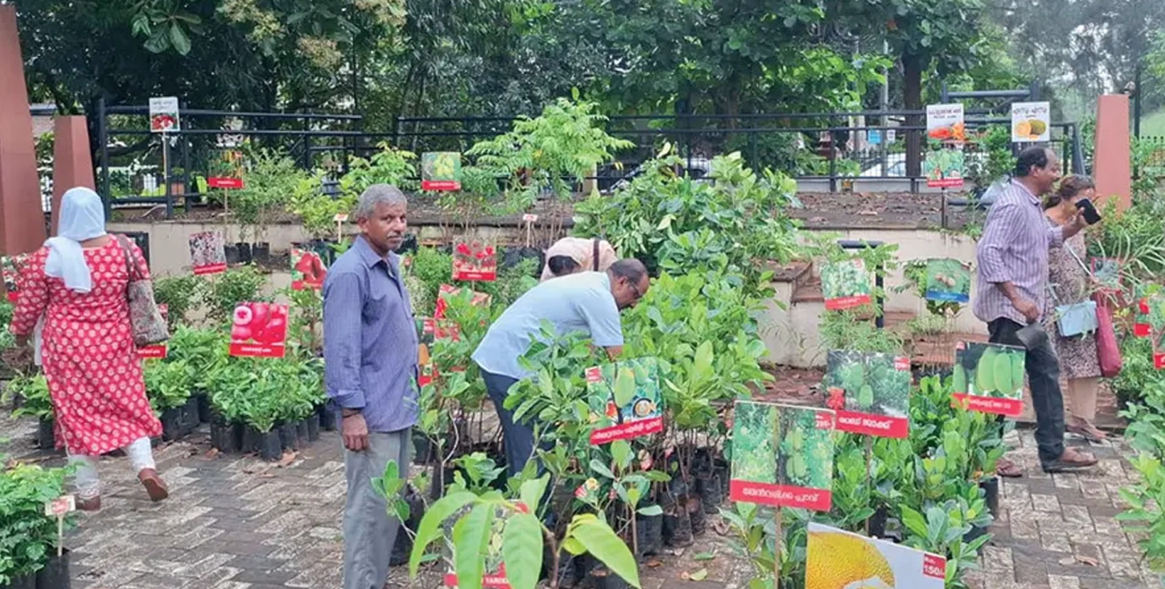 കാക്കനാട് ഞാറ്റുവേല കാർഷിക വിപണനമേള തുടങ്ങി 
