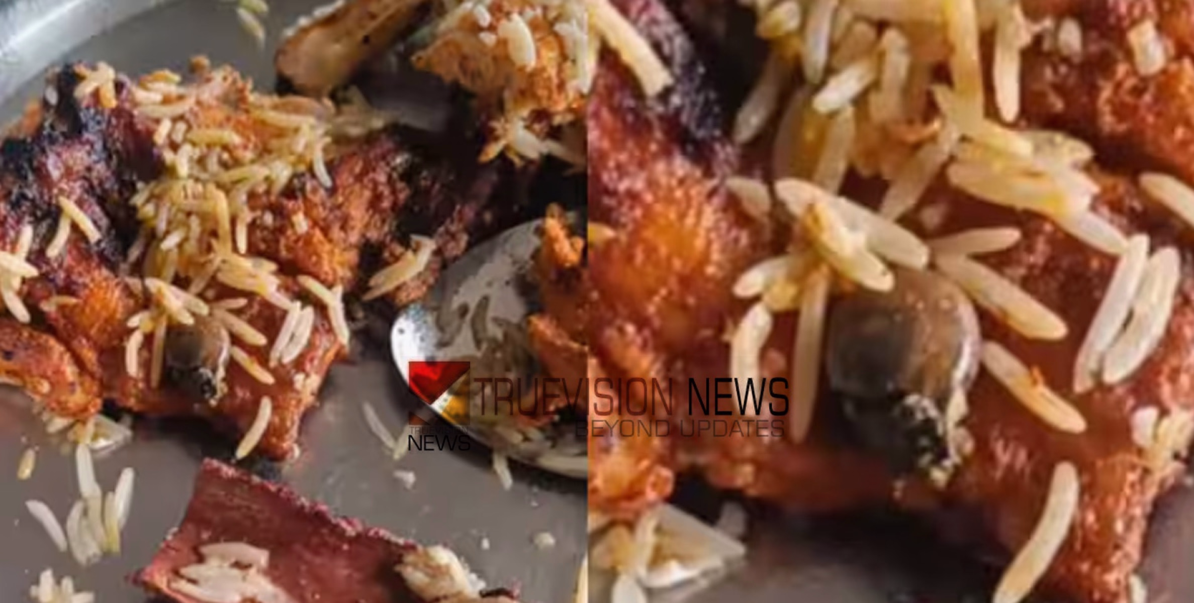 ചിക്കൻ പീസിനടയിൽ ഒച്ച്; തൃശൂരിൽ പാഴ്സലായി വാങ്ങിയ മന്തി റൈസിൽ ഒച്ചിനെ കണ്ടതായി പരാതി