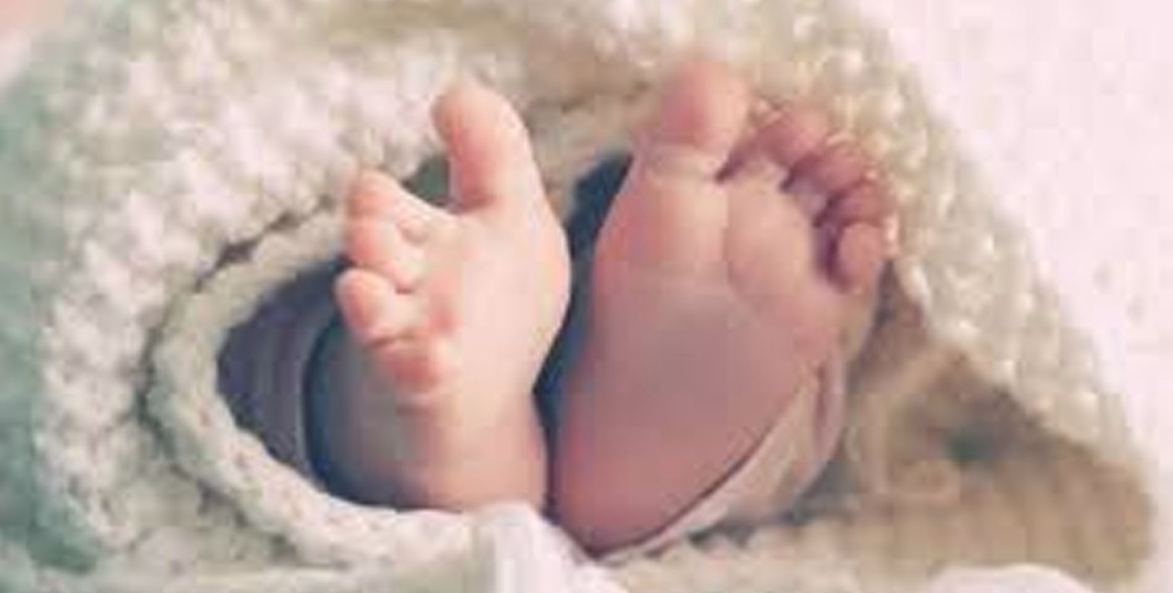 ചേമ്പിലയിൽ പൊതിഞ്ഞ് നവജാതശിശുവിനെ വലിച്ചെറിഞ്ഞു; അവിവാഹിതയായ അമ്മയ്ക്കെതിരെ കൊലക്കുറ്റം ചുമത്തും