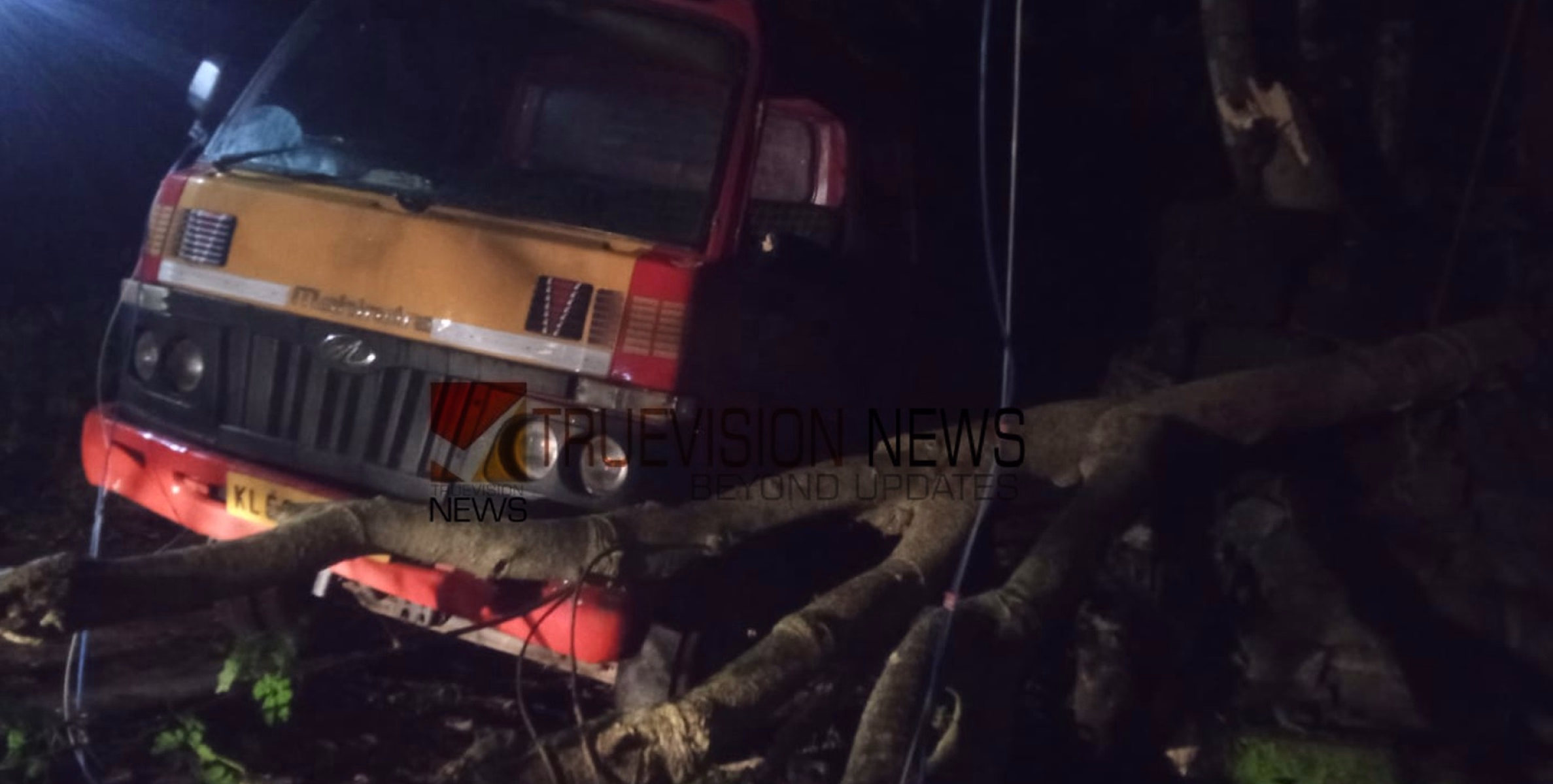കടിയങ്ങാട് ടിപ്പര്‍ ലോറിയുടെ മുകളില്‍ മരം മുറിഞ്ഞ് വീണ് അപകടം