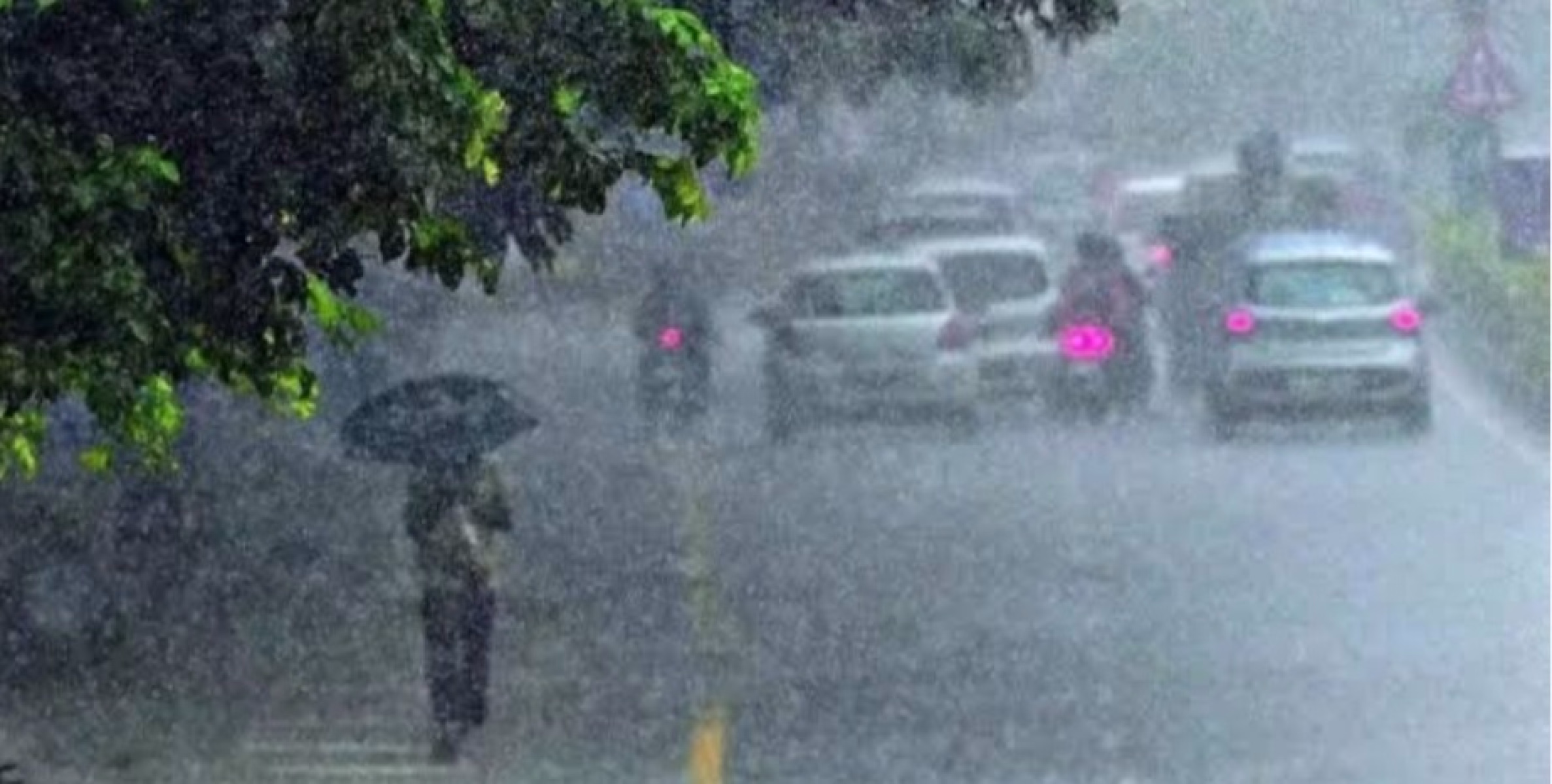 മഴ കനക്കും :വിവിധ ജില്ലകളിൽ യെല്ലോ അലെർട് 