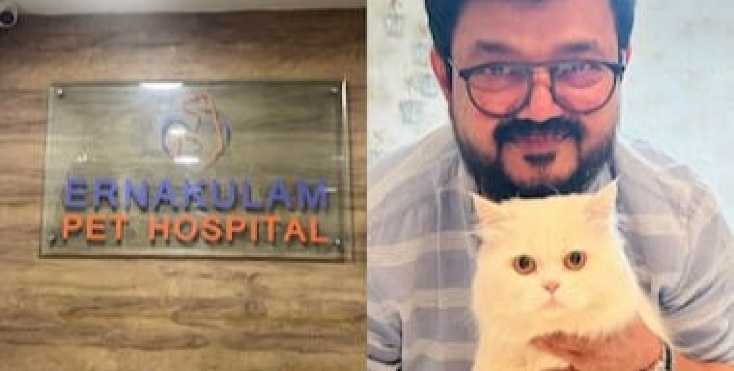 സംവിധായകൻ നാദിര്‍ഷായുടെ പൂച്ച ചത്ത സംഭവം ;  പൂച്ചയുടെ മരണം ഹൃദയാഘാതത്തെ തുടർന്നെന്ന്  പോസ്റ്റ്‍മോര്‍ട്ടം റിപ്പോര്‍ട്ട് 