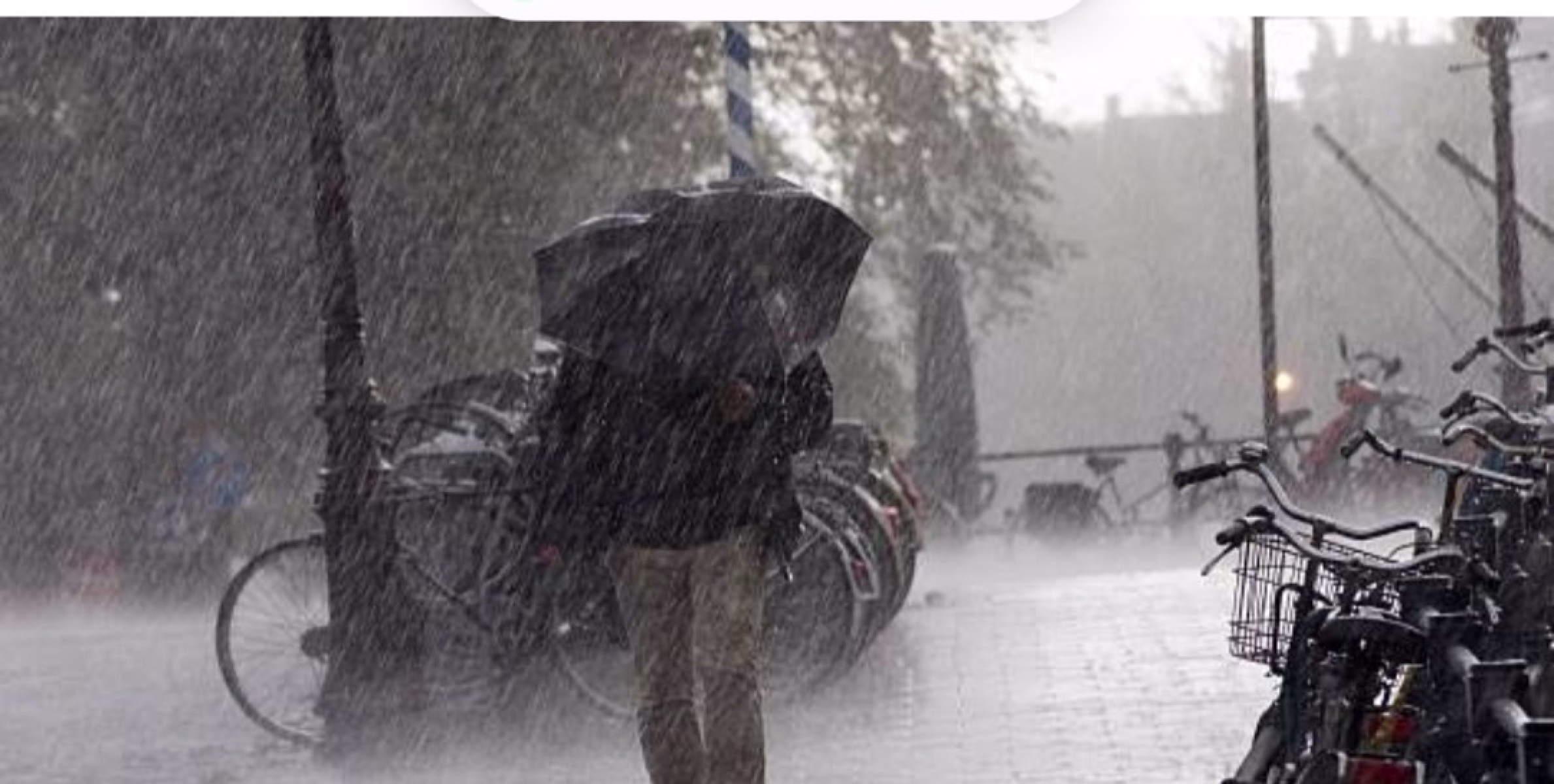 വരും ദിവസങ്ങളിൽ ശക്തമായ മഴയ്ക്ക് സാധ്യത 