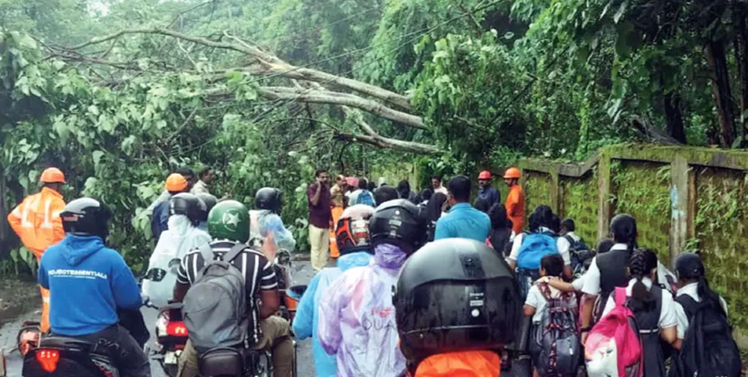 റോഡിൽ  മരംവീണ് ഗതാഗതം മുടങ്ങി ;  വിദ്യാർഥി അത്ഭുതകരമായി രക്ഷപ്പെട്ടു