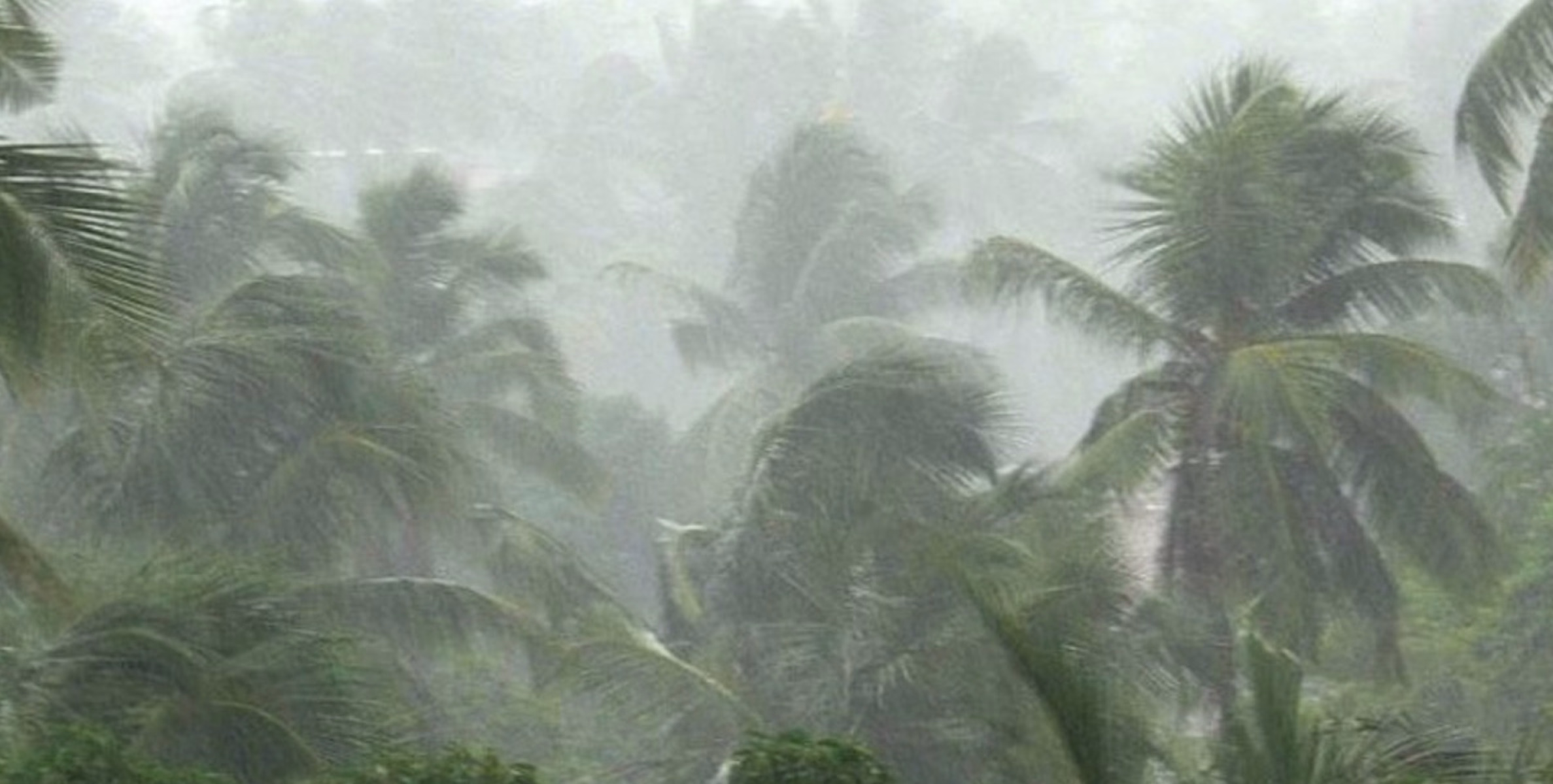 കേരളത്തിൽ അതിശക്ത മഴയ്ക്ക് സാധ്യത; വയനാട് ഉൾപ്പടെ നാല് ജില്ലകളിൽ ഓറഞ്ച് അലെർട്ട്