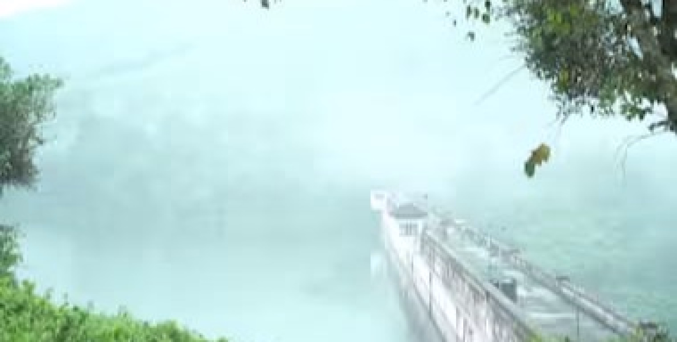 മുല്ലപ്പെരിയാർ അണക്കെട്ടിലേക്കുള്ള നീരൊഴുക്ക് ശക്തം, ജലനിരപ്പ് ഉയരുന്നു; 133 അടിയായി, പെരിയാർ തീരത്ത് ജാഗ്രത