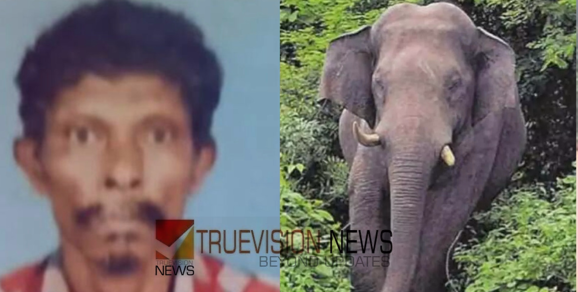 ഒടുങ്ങാത്ത കാട്ടാനക്കലി; മലപ്പുറത്ത് കാട്ടാനയാക്രമണത്തിൽ യുവാവ് മരിച്ച സംഭവം, മൃതദേഹം മറുകരയിലെത്തിക്കാനുള്ള ദൗത്യം ദുഷ്കരം
