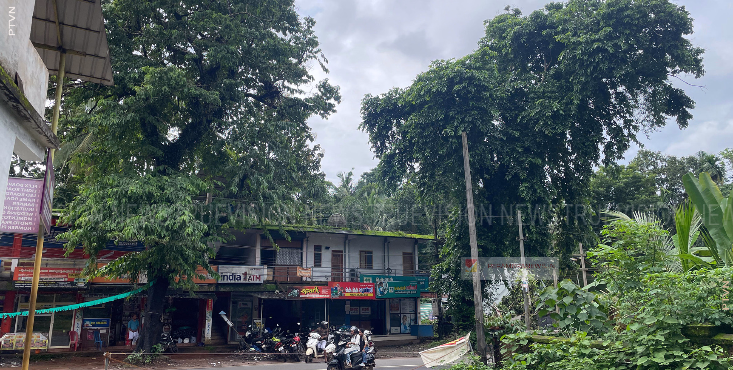 കുറ്റ്യാടി പേരാമ്പ്ര സംസ്ഥാന പാതയില്‍ പാതയോരത്തെ വന്‍ മരങ്ങള്‍ ഭീഷണിയാവുന്നു