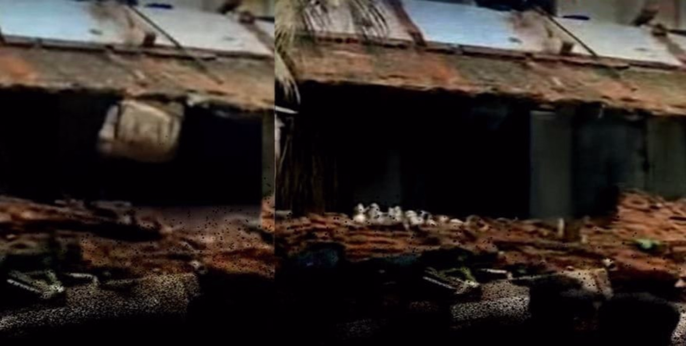 കോട്ടയം മെഡിക്കൽ കോളേജിൽ വാർഡിൻ്റെ ഒരുഭാഗം ഇടിഞ്ഞ് വീണു; തകർന്നത് അടച്ചിട്ട ശുചിമുറിയുടെ ഭാഗമെന്ന് അധികൃതർ.