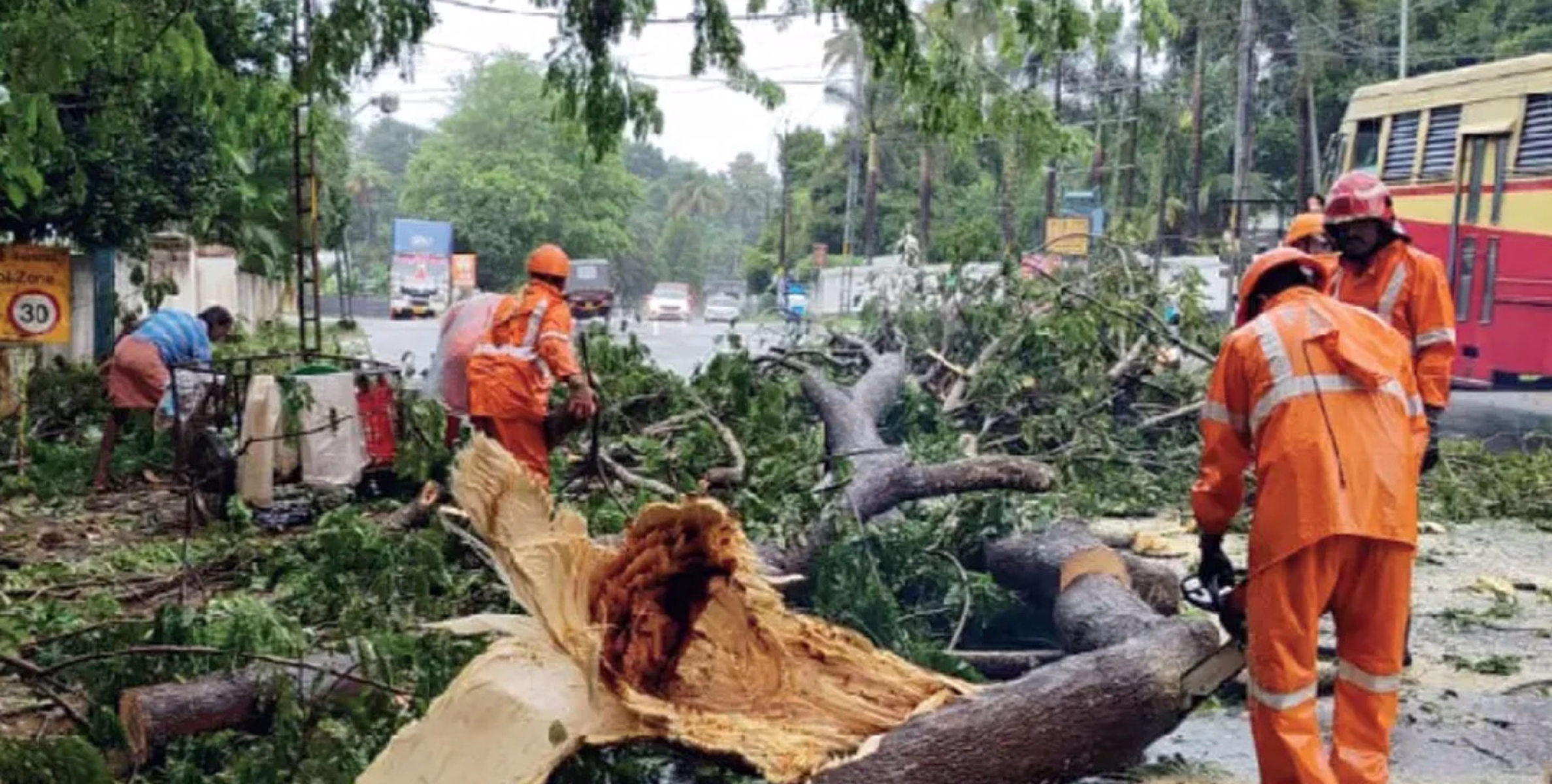 മൂവാറ്റുപുഴയിൽ കാറ്റിൽ മരങ്ങൾ വീണു