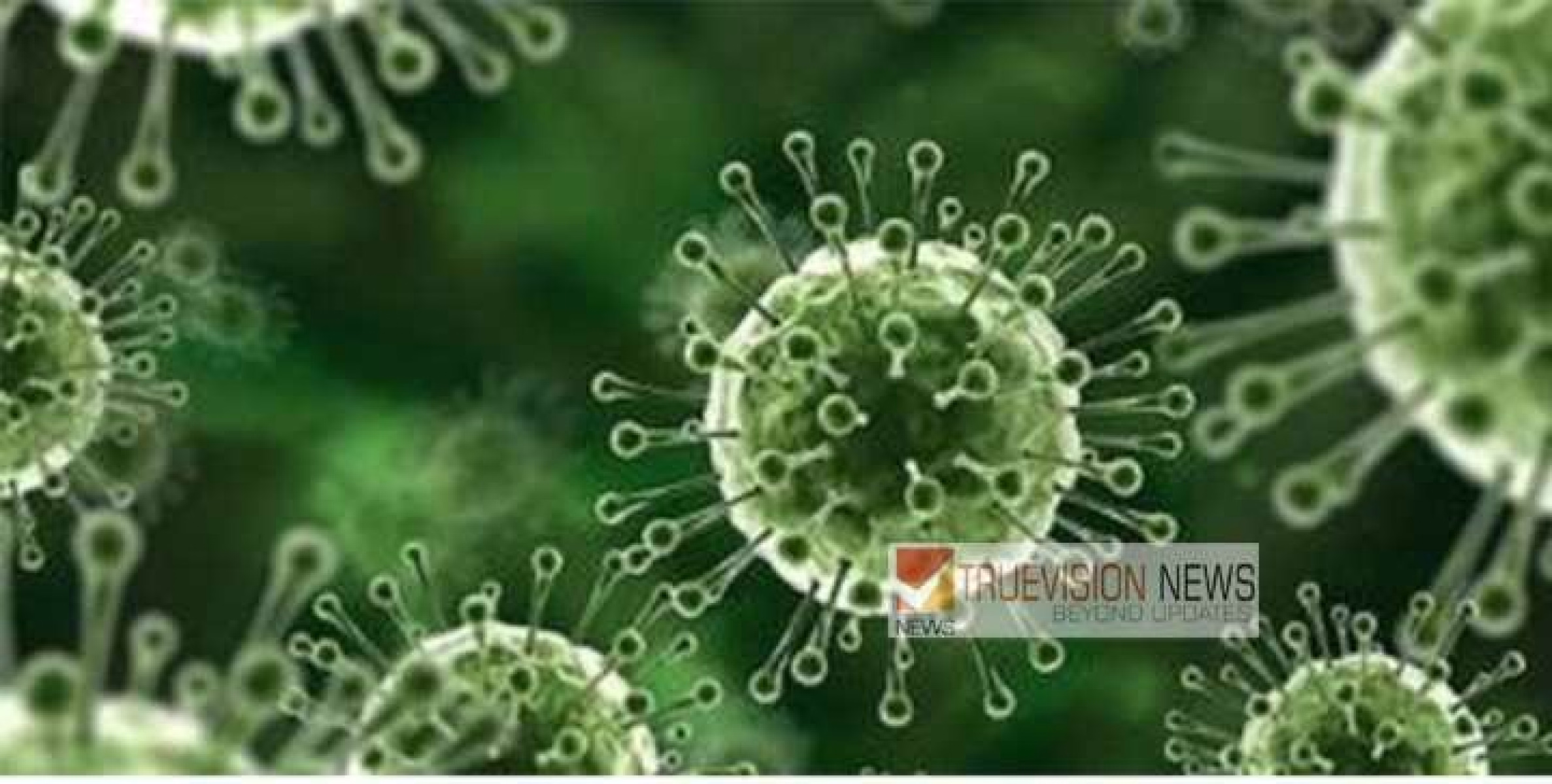സംസ്ഥാനം നിപ ജാ​ഗ്രതയിൽ; മലപ്പുറത്ത് നിപ ബാധിച്ച് മരിച്ച 18കാരിയും പാലക്കാട്ടെ യുവതിയും തമ്മിൽ ബന്ധമില്ല 