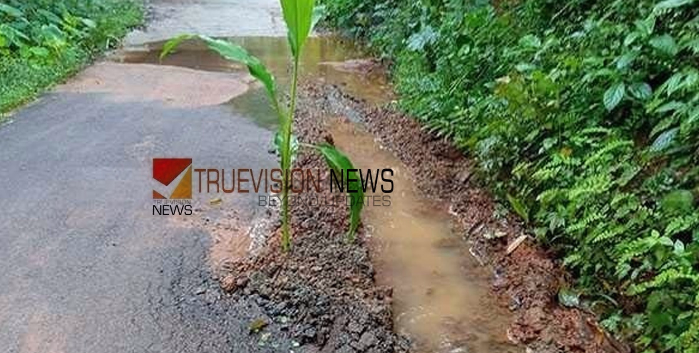 ഗതാഗതം മുടങ്ങി; കളത്തിൽമുക്ക്-മഞ്ചാം കാട്ടിൽമുക്ക് റോഡ് തകര്‍ന്നു, ടാറിങ് കഴിഞ്ഞത് ആറ് മാസം മുമ്പേ