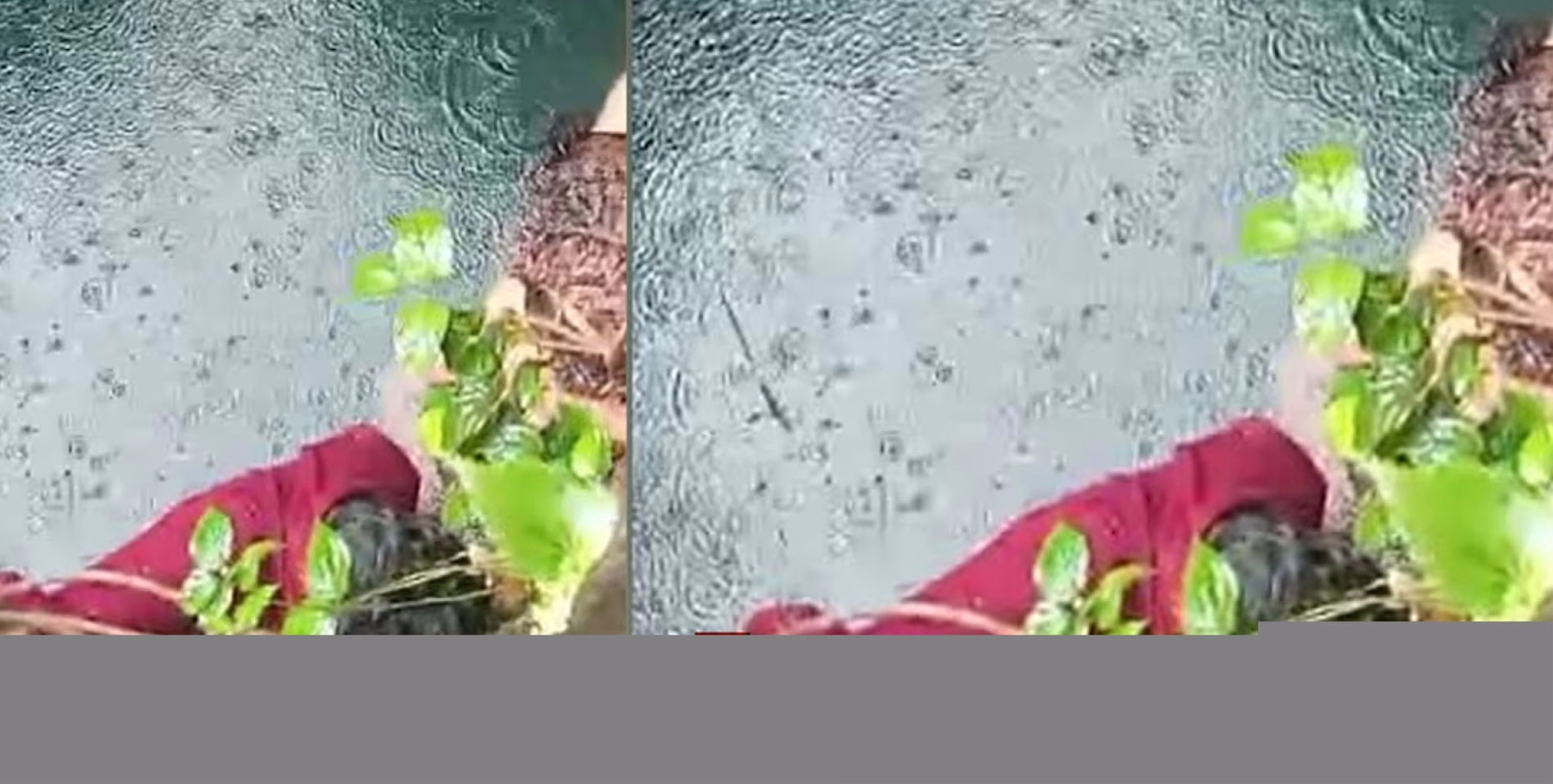 കിണറ്റിൽ വീണ് മരിച്ചെന്ന് കരുതിയ വയോധിക ഒന്നര മണിക്കൂറിന് ശേഷം ജീവനോടെ പുറത്തേക്ക്