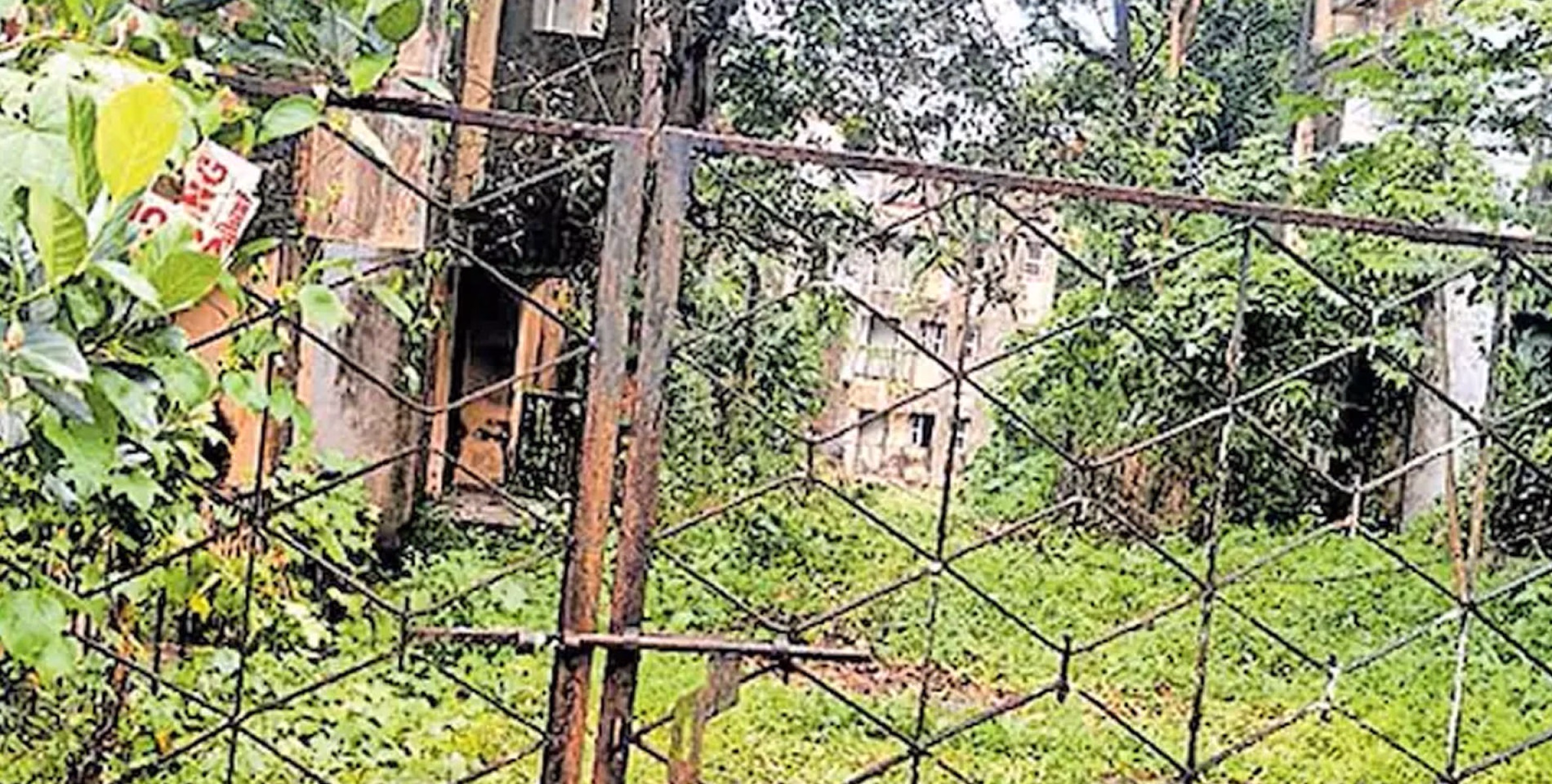 ബിഎസ്എൻഎൽ ക്വാർട്ടേഴ്സ് കാടുകയറി; ഇഴജന്തുക്കളുടെ ആവാസ കേന്ദ്രമായി 