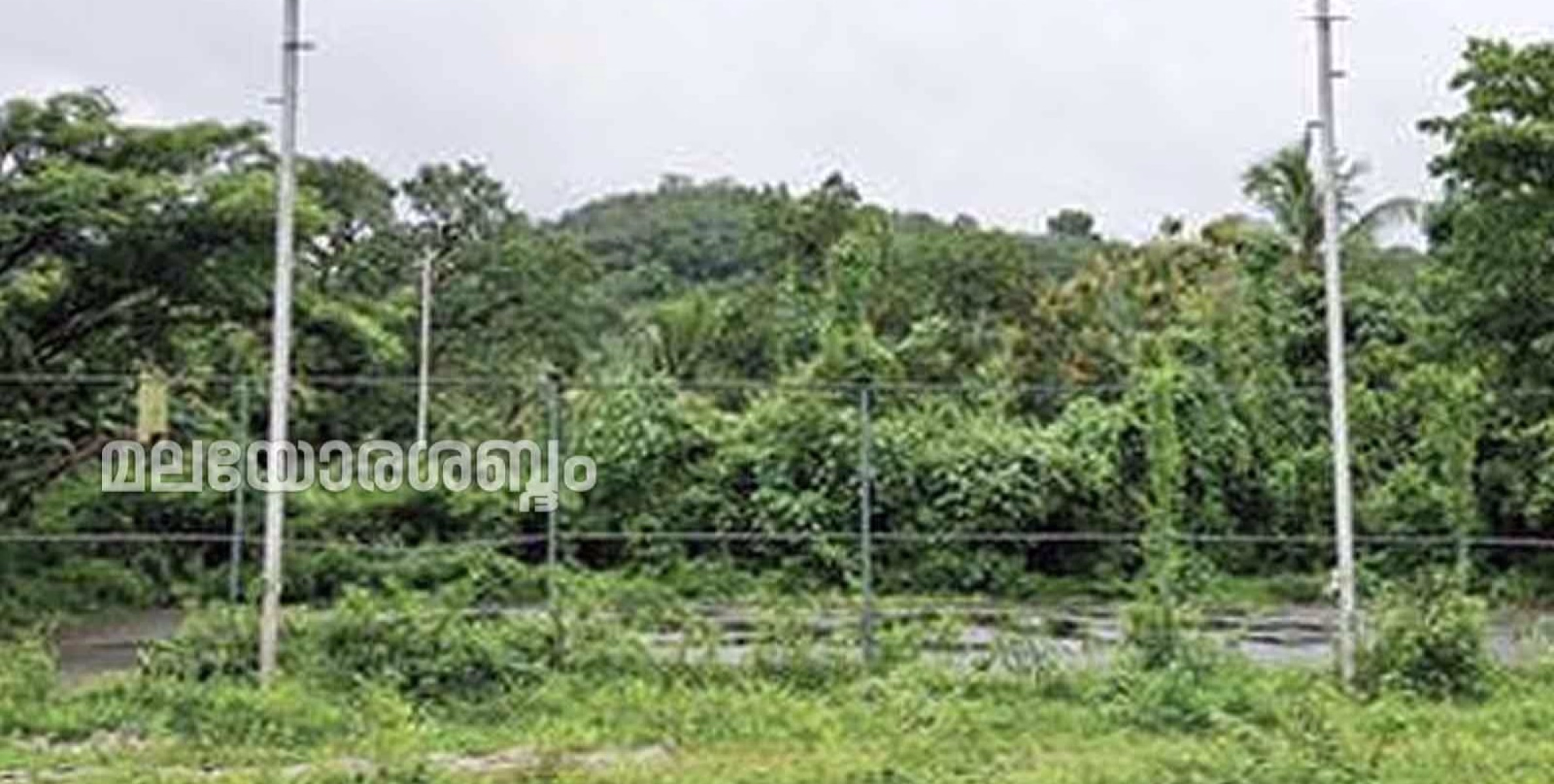 കാടുകയറി നശിച്ച നിലയിൽ കേളകം മഞ്ഞളാംപുറത്തെ സിന്തറ്റിക്ക് സ്റ്റേഡിയം