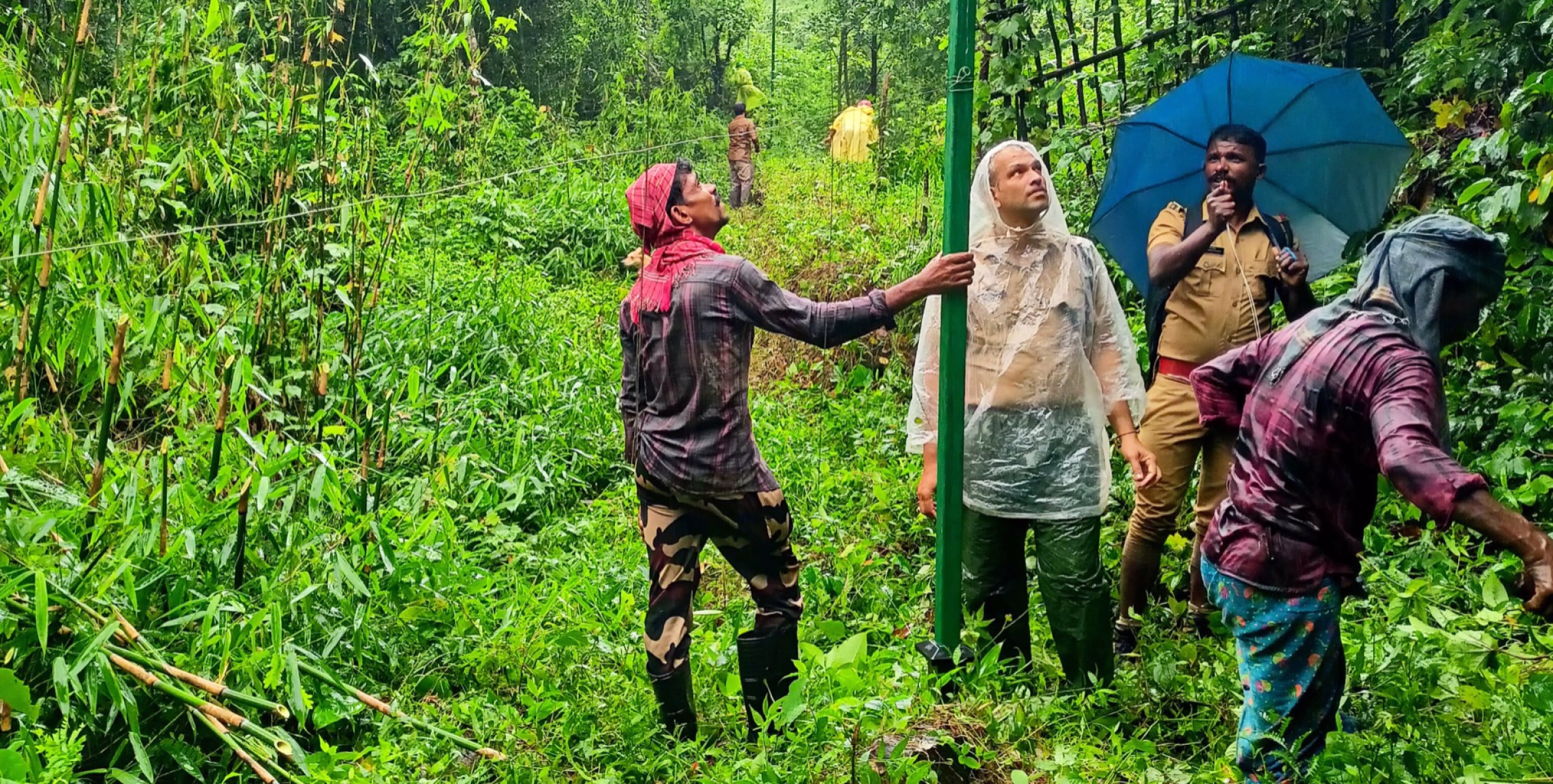 സൗരോർജ വേലി വൃത്തിയാക്കി
