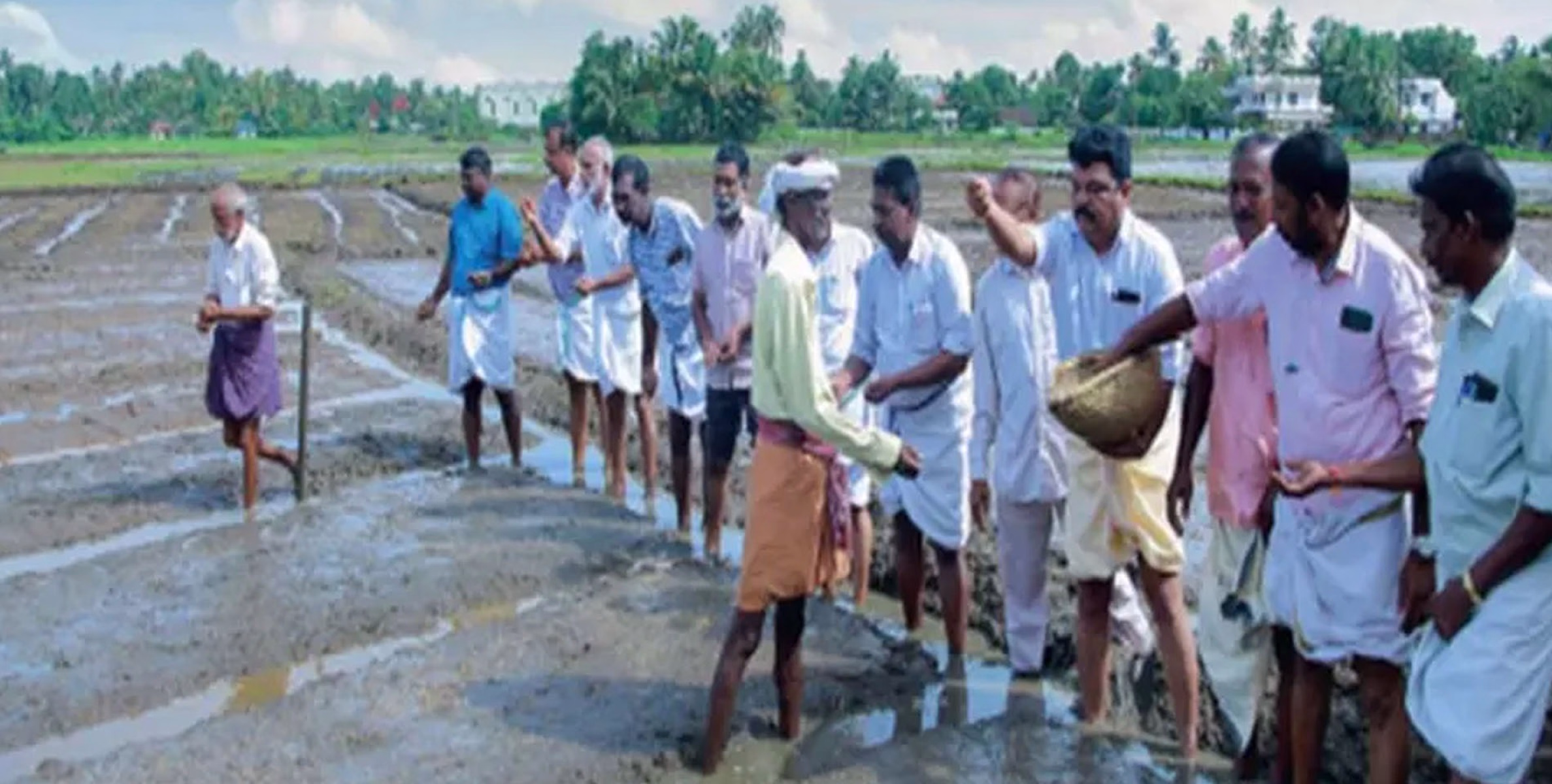 കാർഷികപൈതൃകം വീണ്ടെടുക്കാൻ വടക്കുംഭാഗത്ത് കാൽനൂറ്റാണ്ടിനുശേഷം തരിശുപാടത്ത് വിത്തിട്ടു