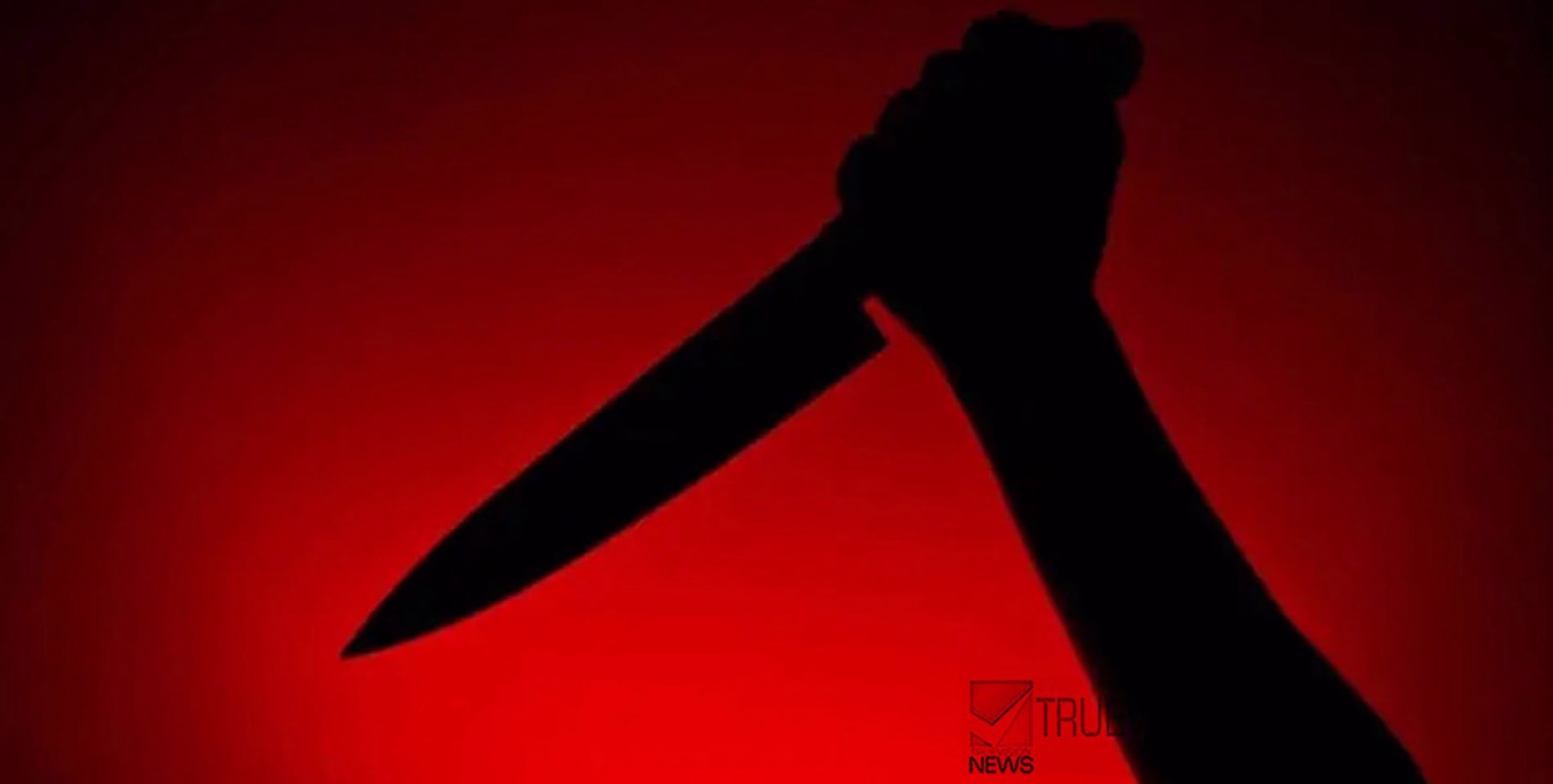 വാക്കുതർക്കം കൊലയിലേക്ക് ....; ഡല്‍ഹിയില്‍ സുഹൃത്തുക്കള്‍ തമ്മില്‍ പരസ്പരം കുത്തി കൊലപ്പെടുത്തി