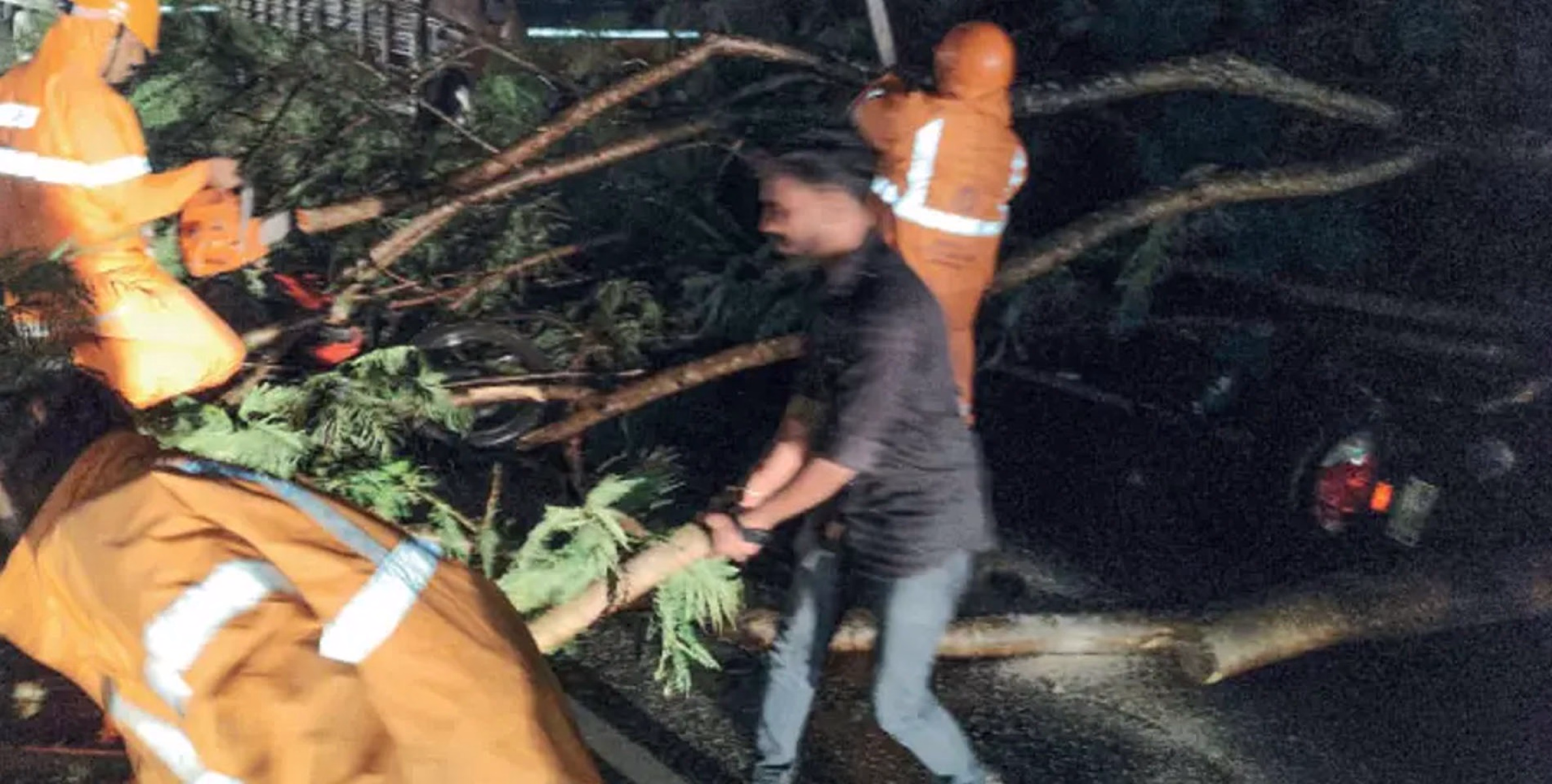 വാഹനങ്ങൾക്കുമുകളിൽ മരം കടപുഴകിവീണ് രണ്ടു ബൈക്ക് യാത്രികർക്ക് പരിക്ക്