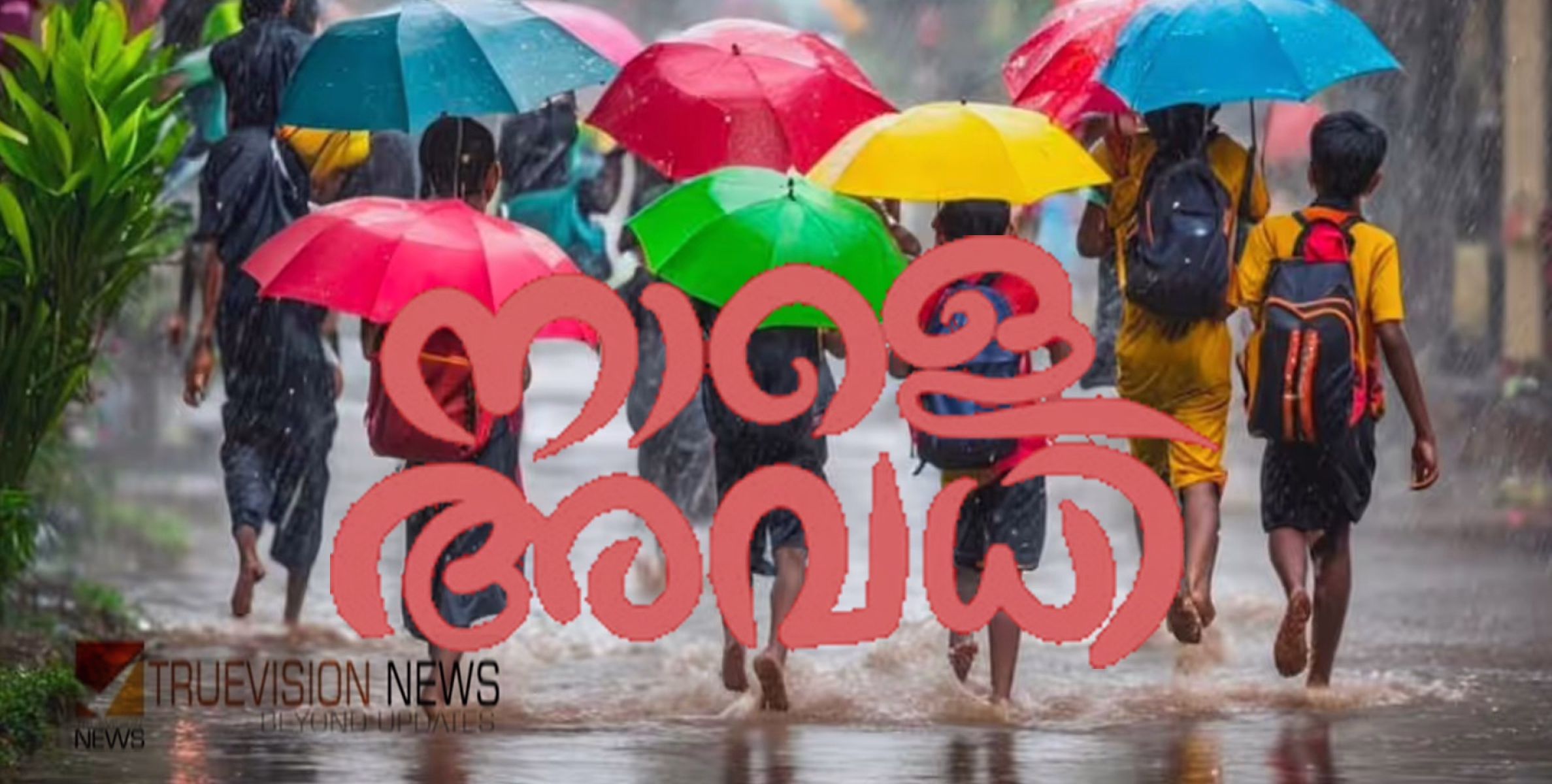 അവധി നാളെയുമുണ്ടേ....! പ്രൊഫഷണൽ കോളേജ് അടക്കമുള്ള വിദ്യാഭ്യാസ സ്ഥാപനങ്ങള്‍ക്ക് നാളെ അവധി പ്രഖ്യാപിച്ച് വയനാട് കളക്ടര്‍ 