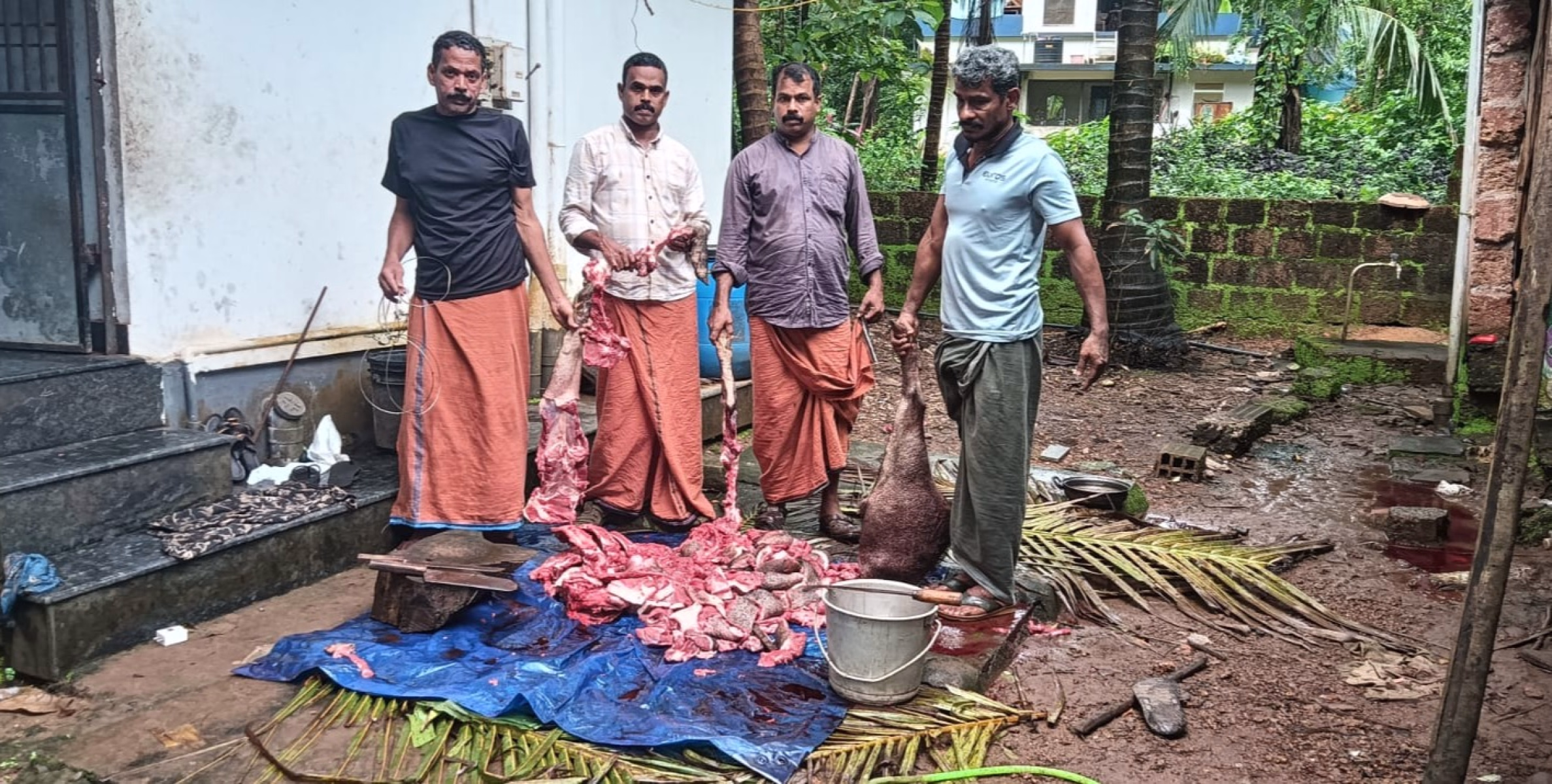 കാട്ടുപന്നിയെ വേട്ടയാടി:  നാല് പേർ റിമാൻഡിൽ