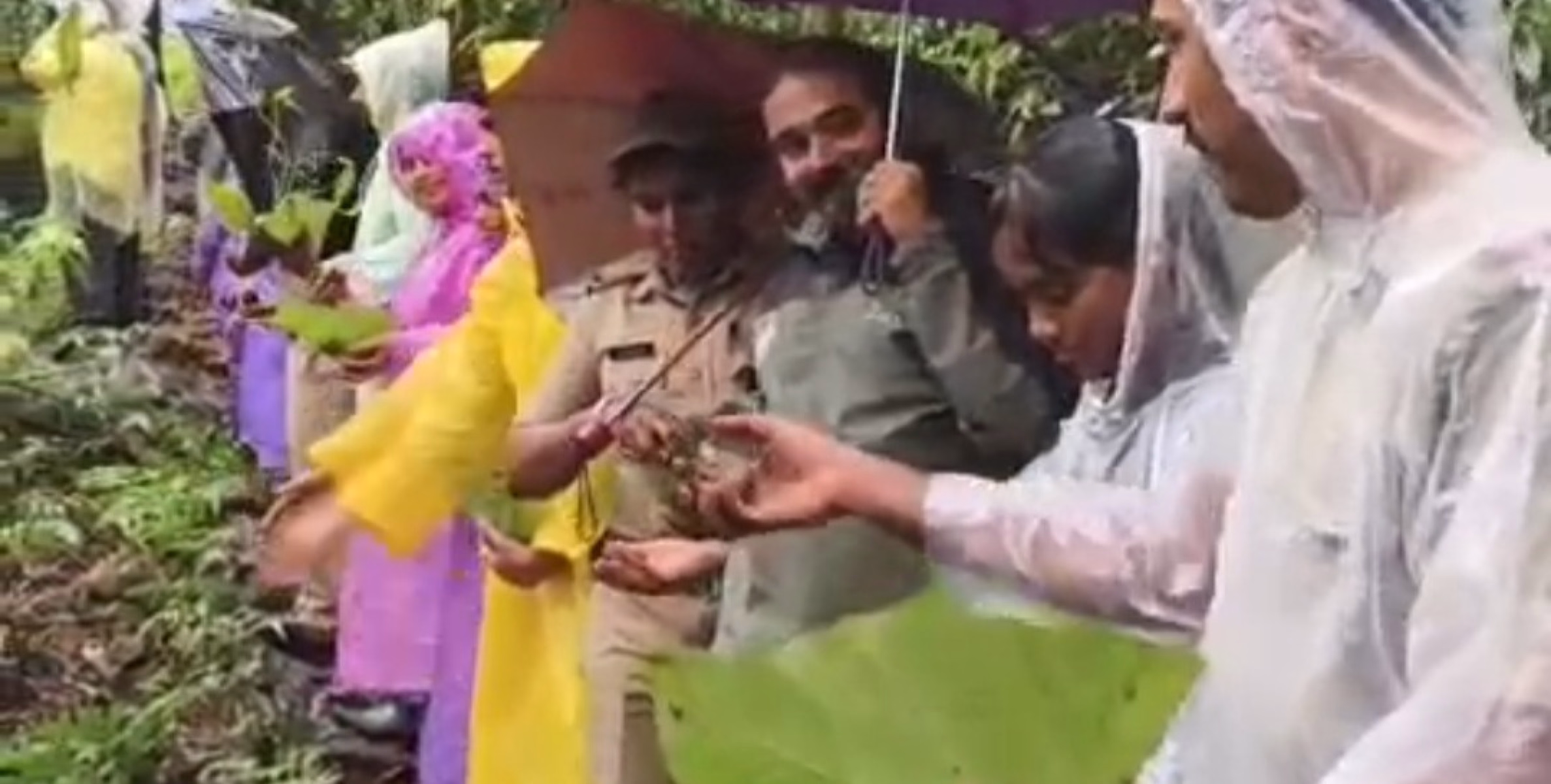 വിത്തുണ്ടകൾ നിക്ഷേപിച്ചു