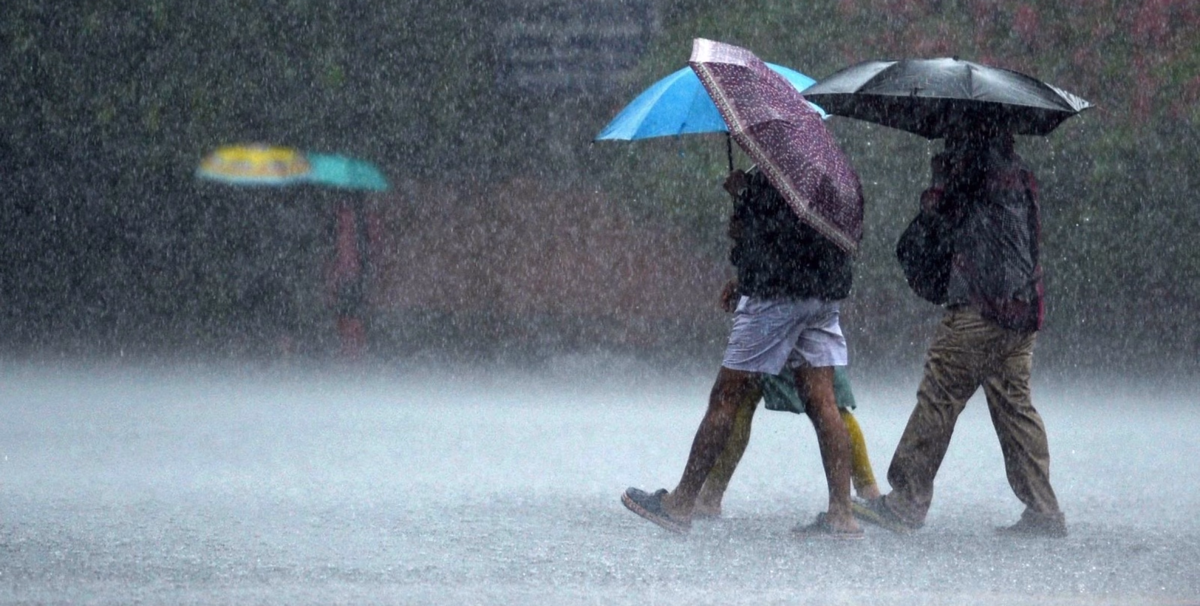 ശക്തമായ മഴ: വയനാട് ജില്ലയിൽ കനത്ത ജാഗ്രത
