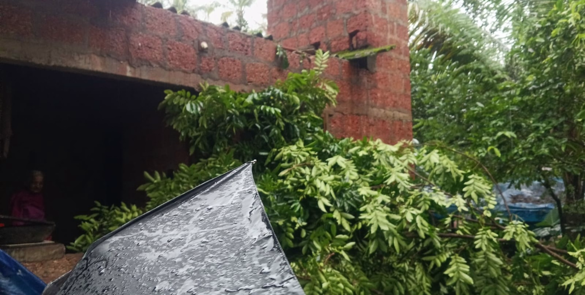 ശക്തമായ മഴ:  കുണ്ടേരിയിൽ മരംവീണ്  വീട് തകർന്നു