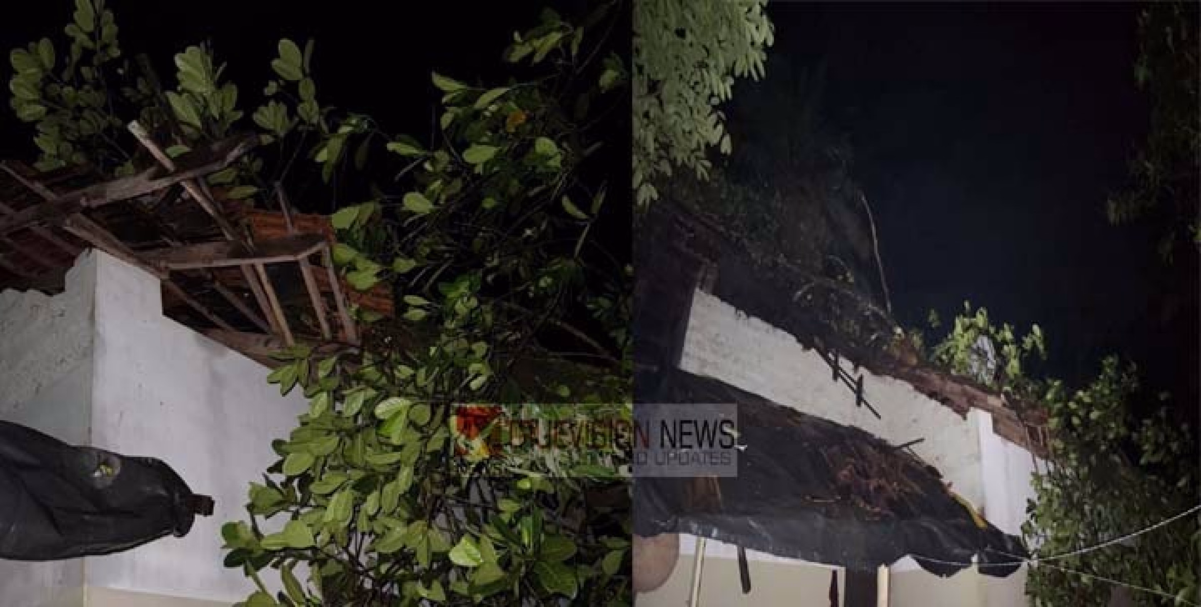ശക്തമായ കാറ്റ് ; തൂവക്കുന്നിൽ വീടിന് മുകളിൽ മരം വീണു