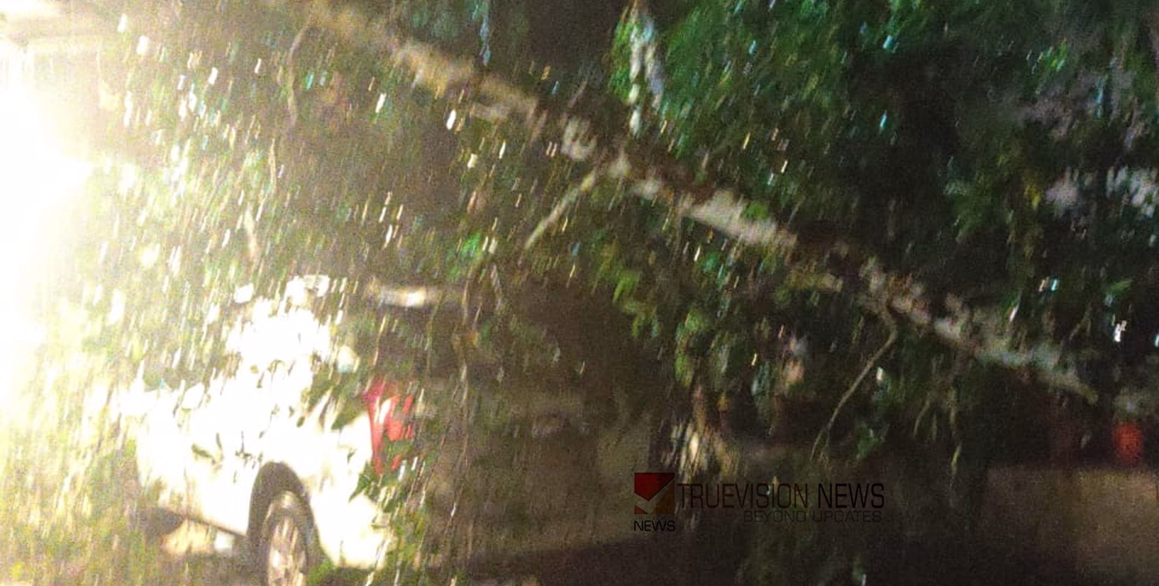 കനത്തമഴ; വട്ടോളിയിൽ അധ്യാപകന്റെ വീടിനു മുകളിൽ പ്ലാവ് വീണ് മേൽക്കൂരയ്ക്ക് കേടുപാടുകൾ