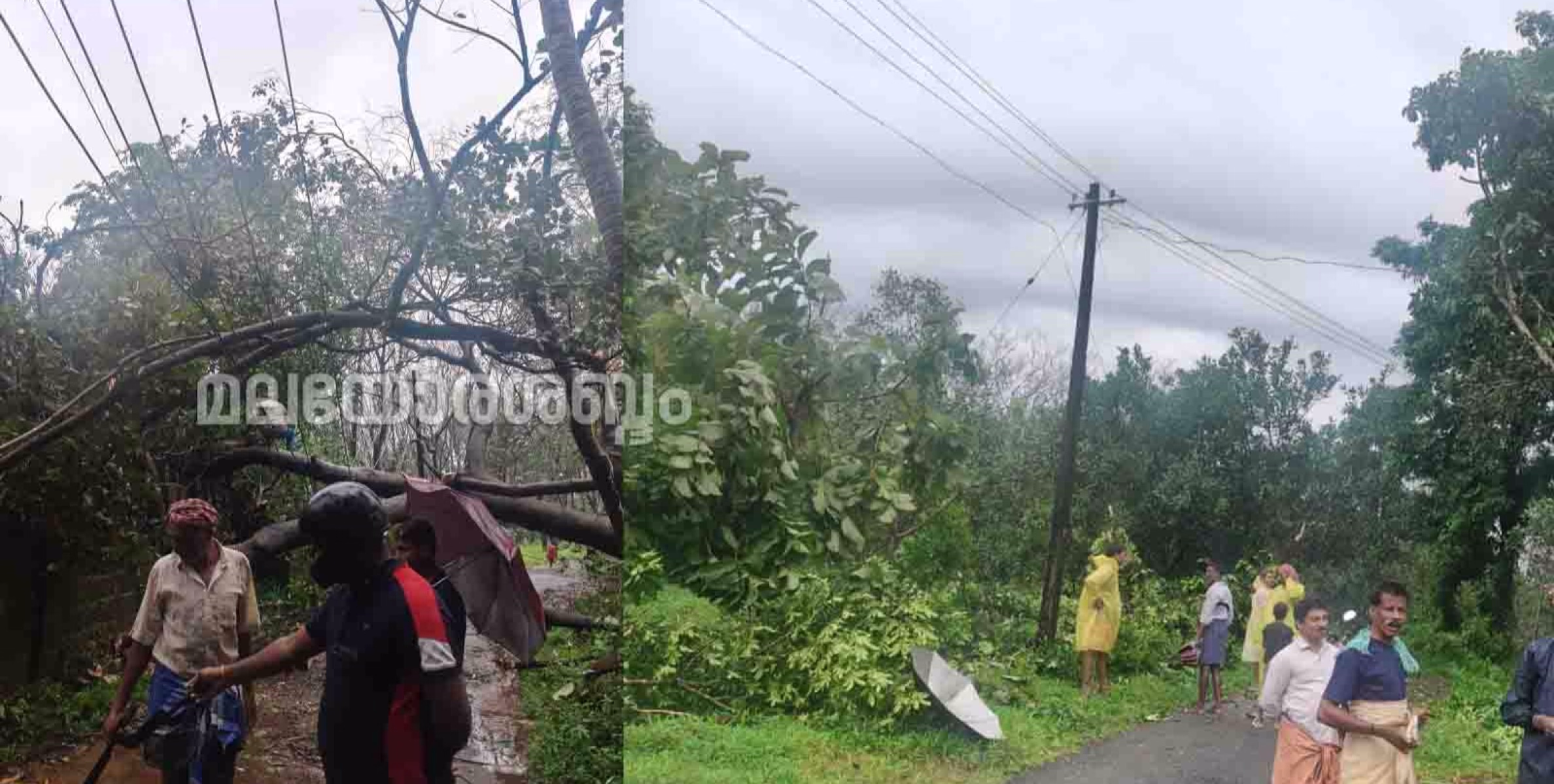 ശക്തമായ കാറ്റിൽ കേളകം വൈദ്യുതി സെക്ഷനിൽ കനത്ത നാശനഷ്ട്ടം
