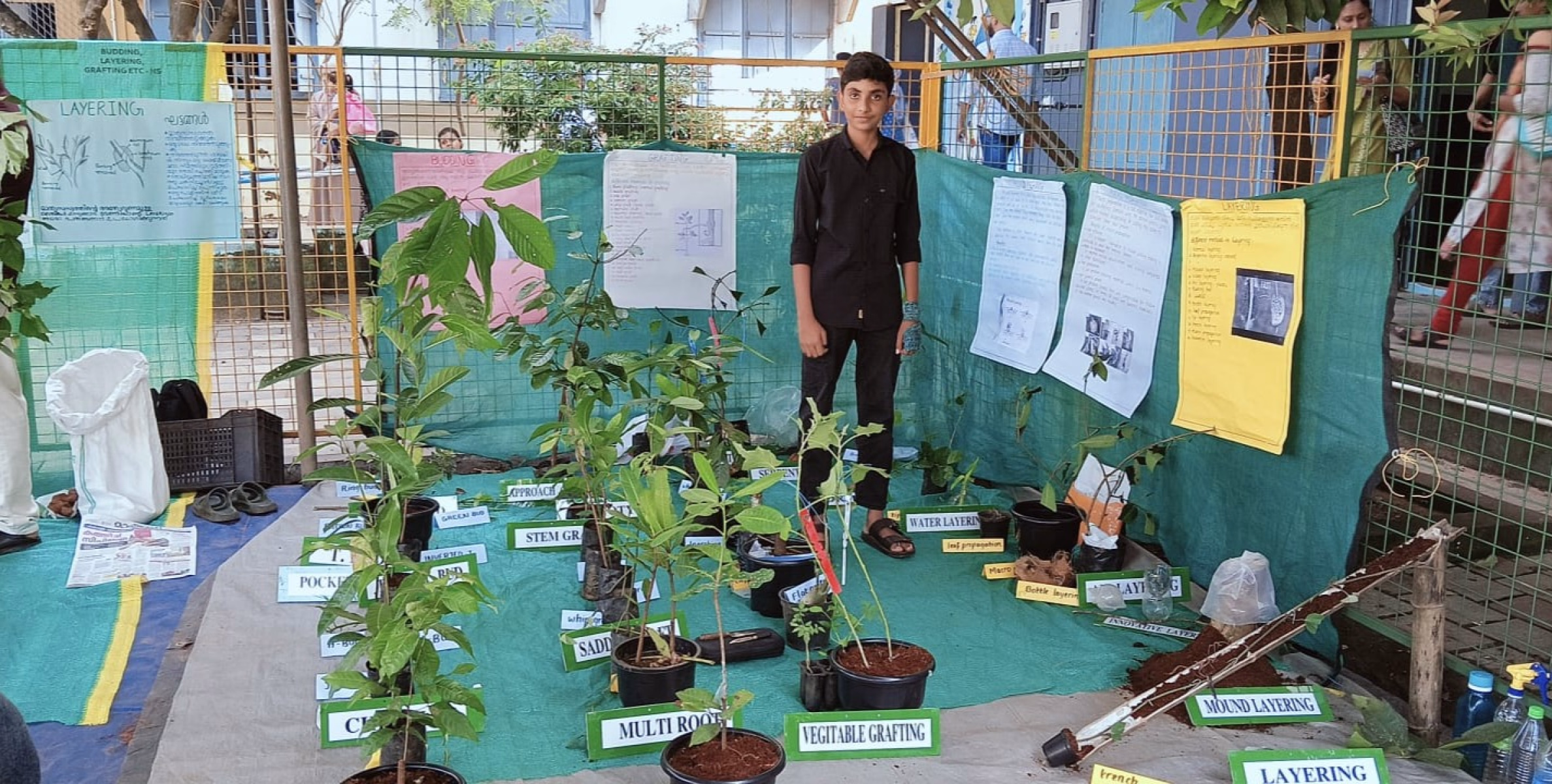 സ്കൂൾ പ്രവർത്തി പരിജയ മേളയിൽ ബഡ്ഡിംഗ് & ഗ്രാഫറ്റിങ്ങിൽ ഫസ്റ്റ് എ ഗ്രേഡ് നേടി ജോഹാൻ