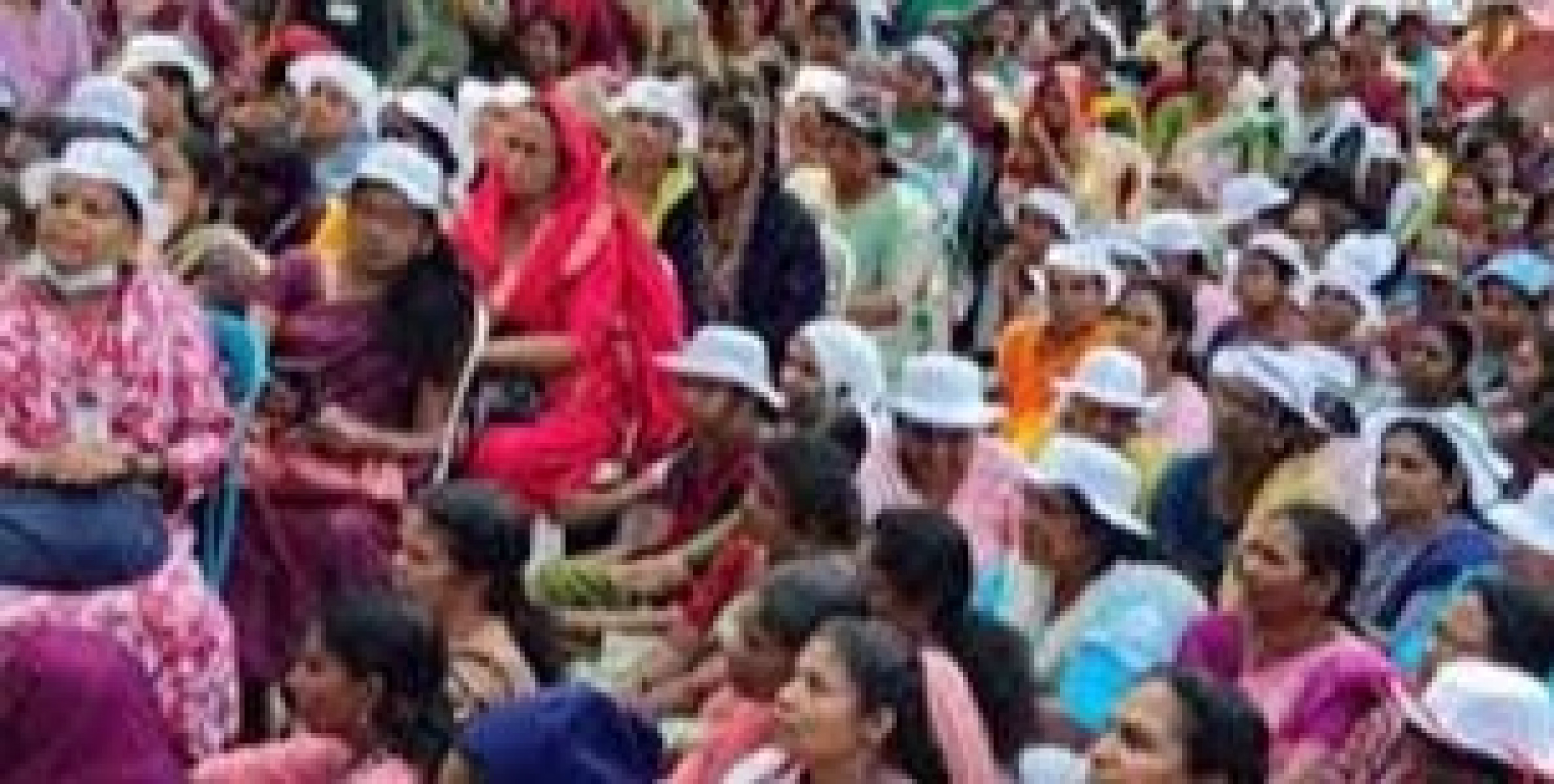 നവംബർ 1 മുതൽ ആശ വർക്കർമാരുടെ ഓണറേറിയം 8000 രൂപ; ഉത്തരവിറക്കി കേരള സർക്കാർ