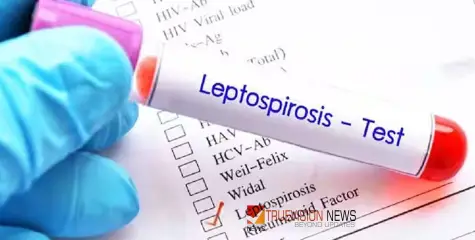 #leptospirosis | ഈ മഴക്കാലത്ത് എലിപ്പനിയെ സൂക്ഷിക്കണം ; ലക്ഷണങ്ങൾ അറിയാം